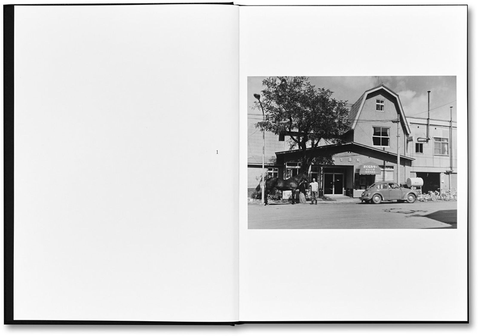 Spread of the book Family by Masahisa Fukase, published by MACK, 2019