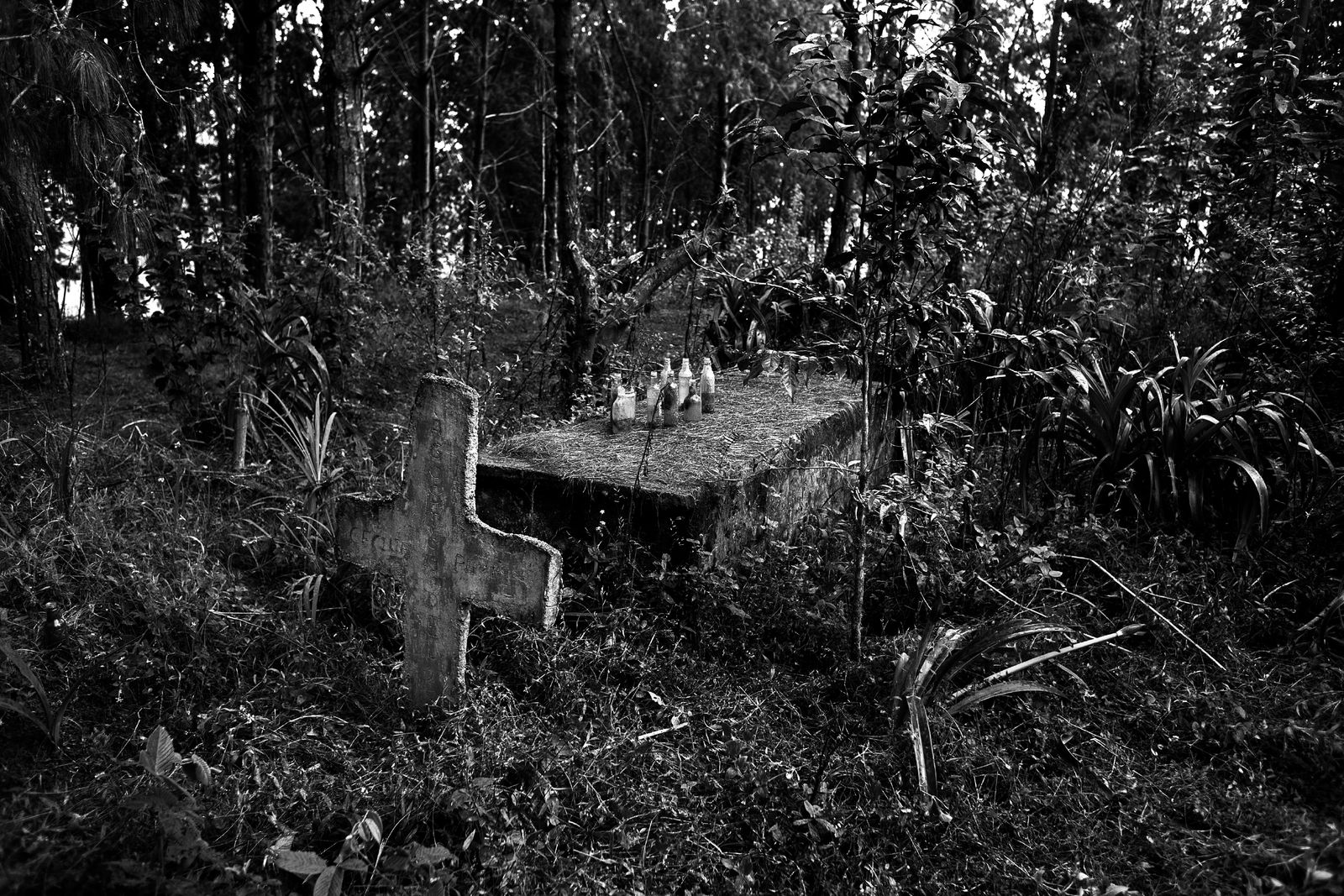 Wounded Land. PhMuseum