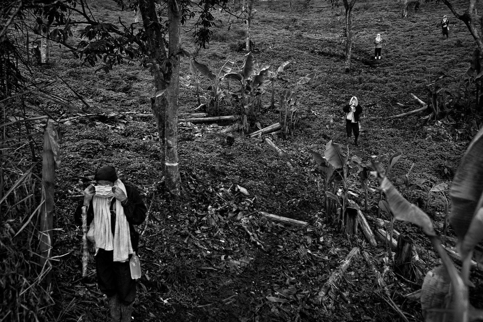 Wounded Land. PhMuseum