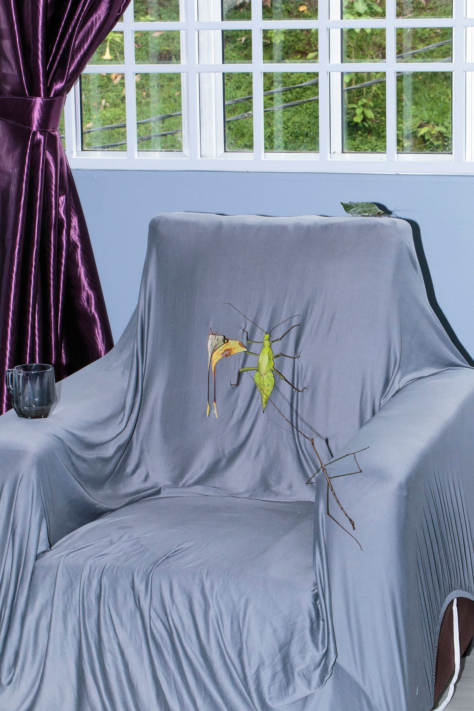 © Makoto Oono - Image from the Contrast A photography project