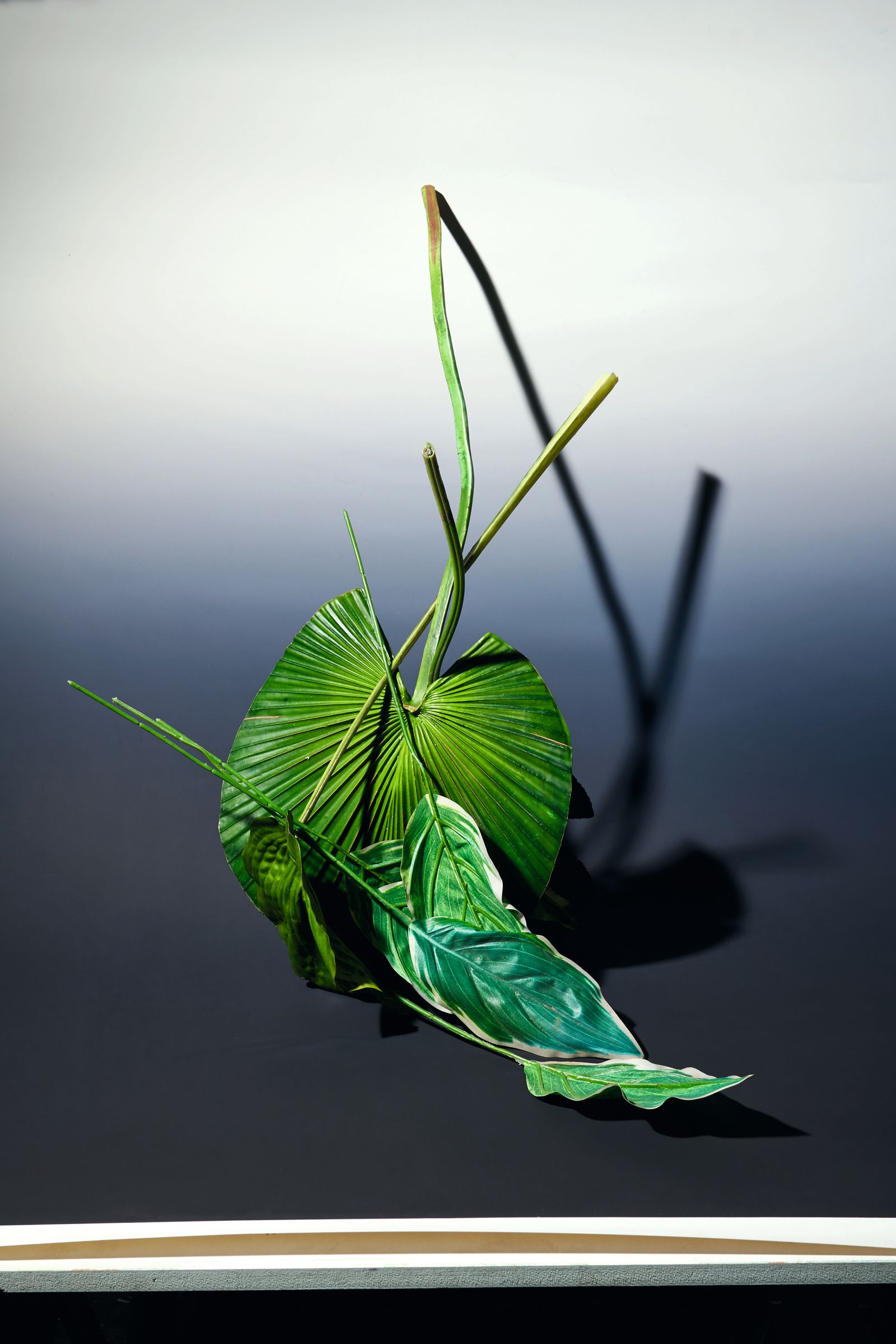 © Nikolai Frerichs - still-life with plastic leafs