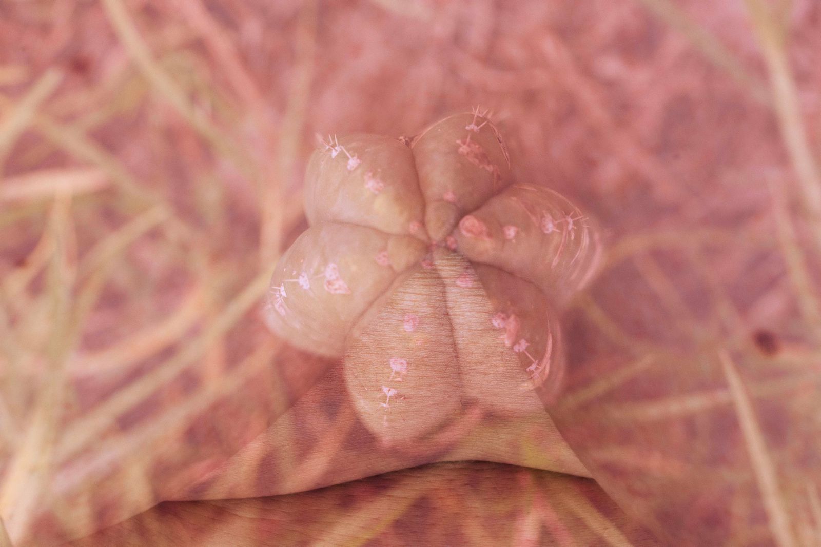 © Yinna Higuera - Image from the Roots and Skin photography project