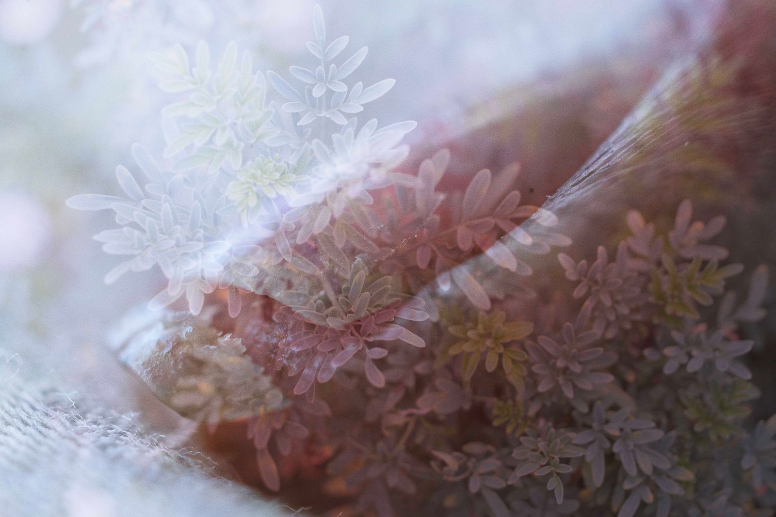 © Yinna Higuera - Image from the Roots and Skin photography project