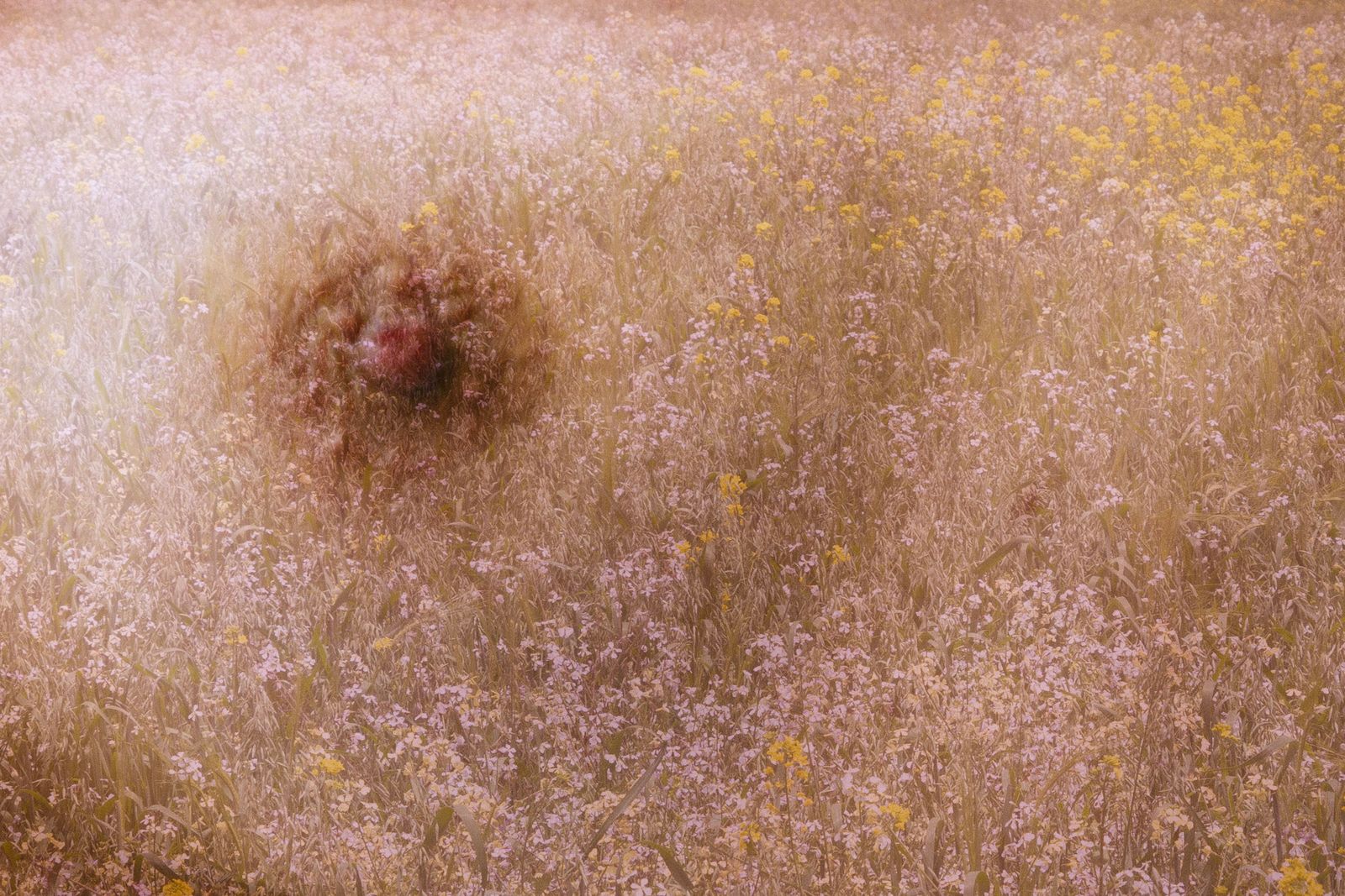 © Yinna Higuera - Image from the Roots and Skin photography project