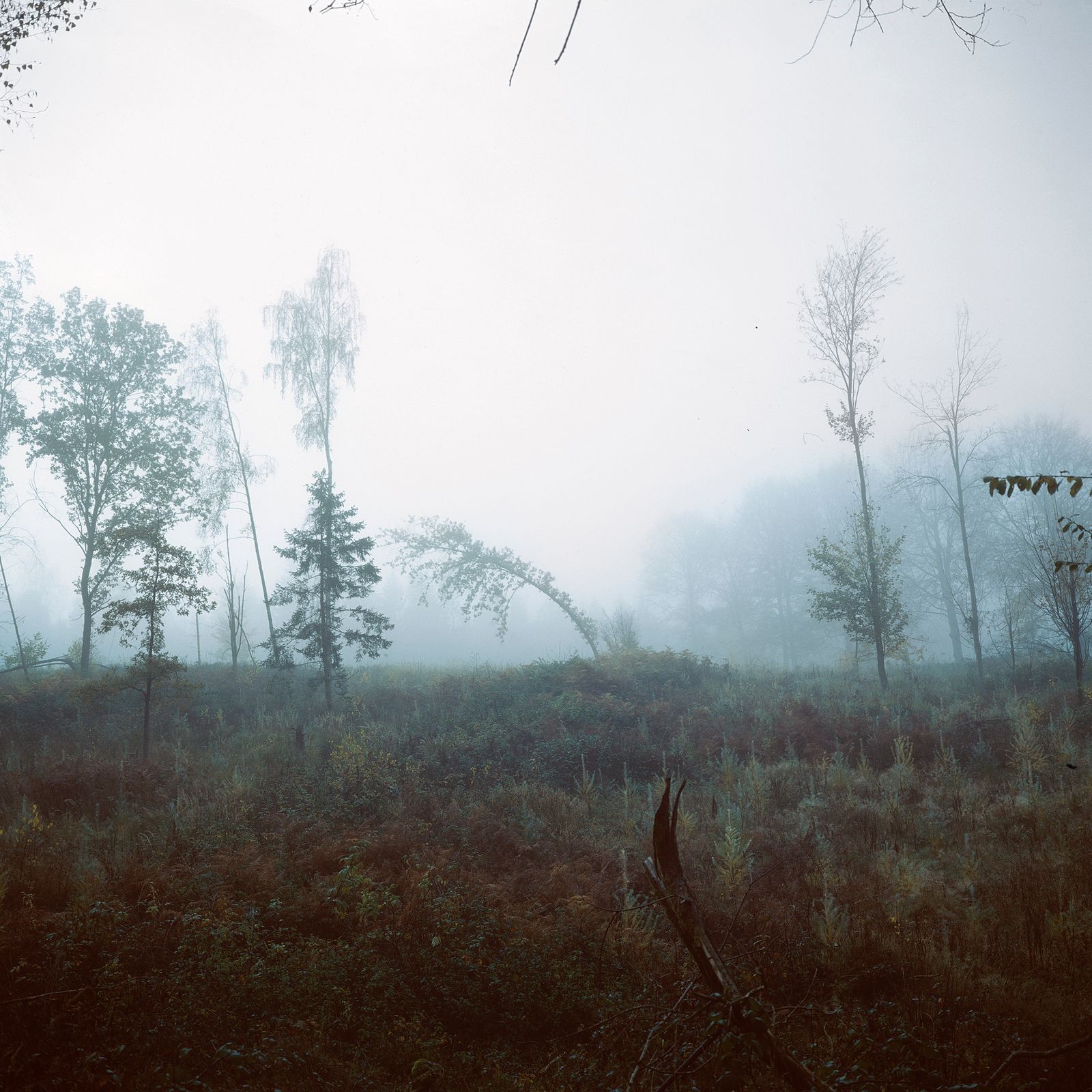 © Antine Karla Yzer - Image from the consumed by uncertainty photography project