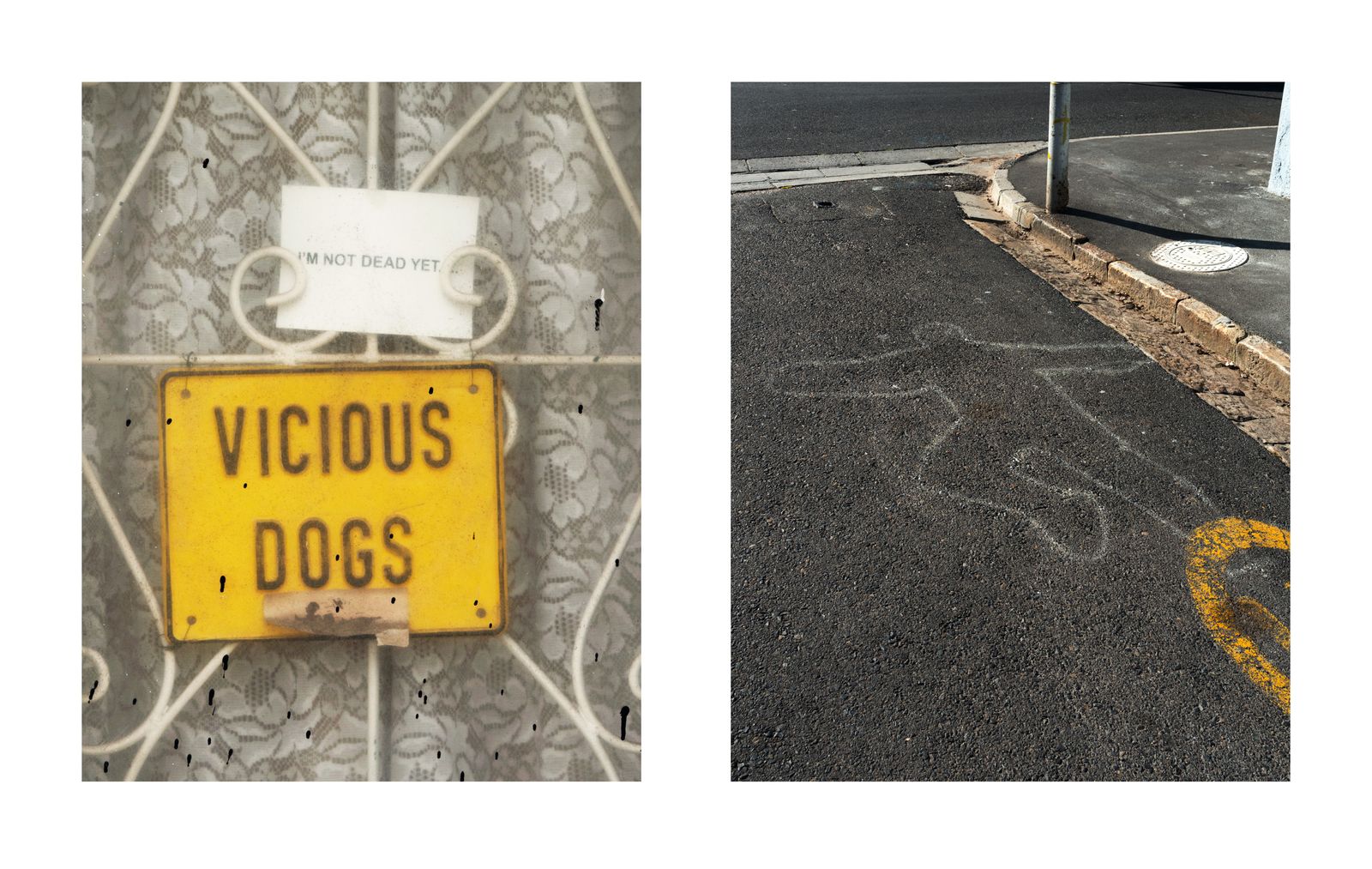 © Dillon Marsh - Image from the Walks With My Dogs photography project