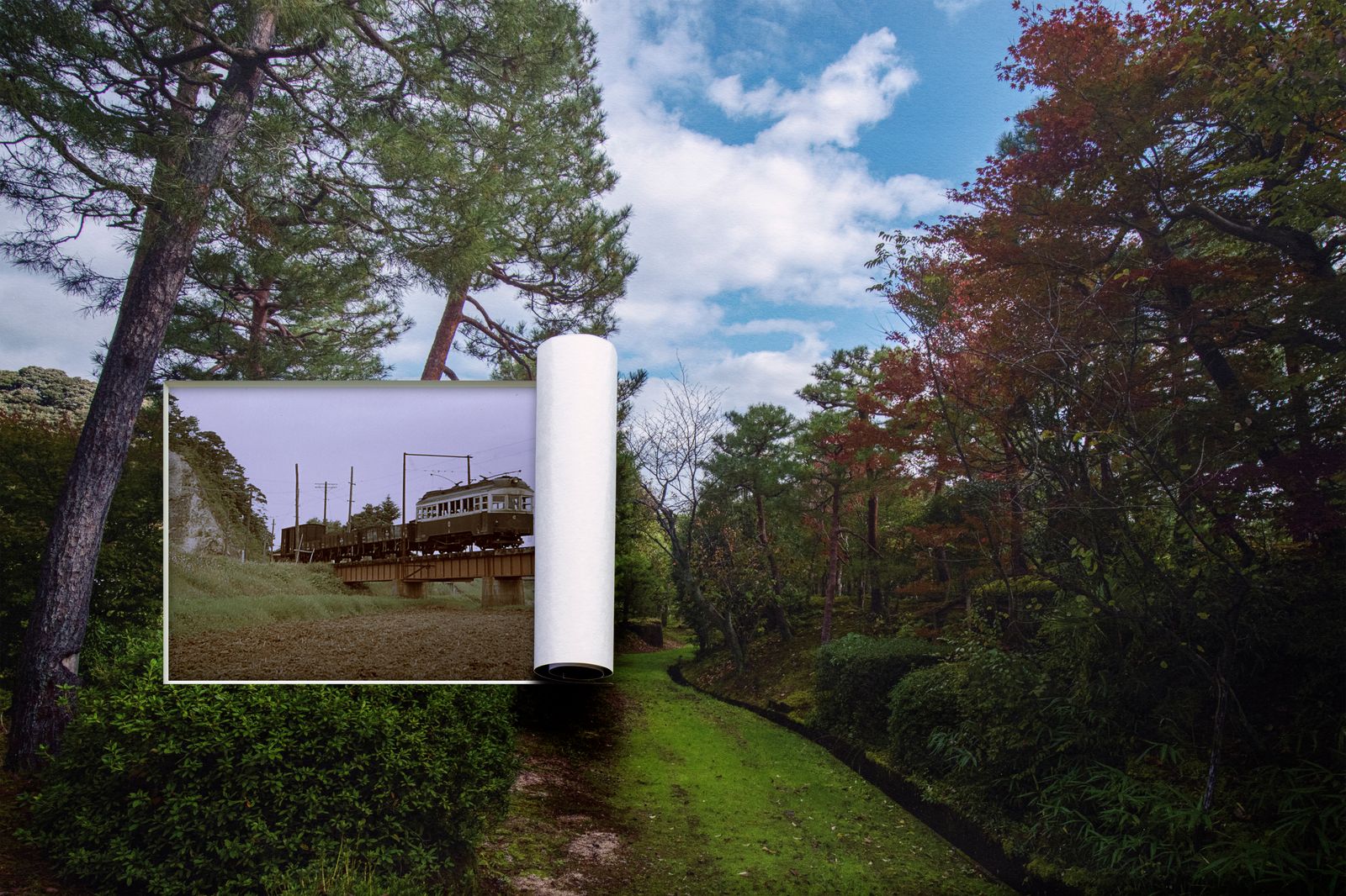 © Seido KINO - Image from the x elements / Growth photography project