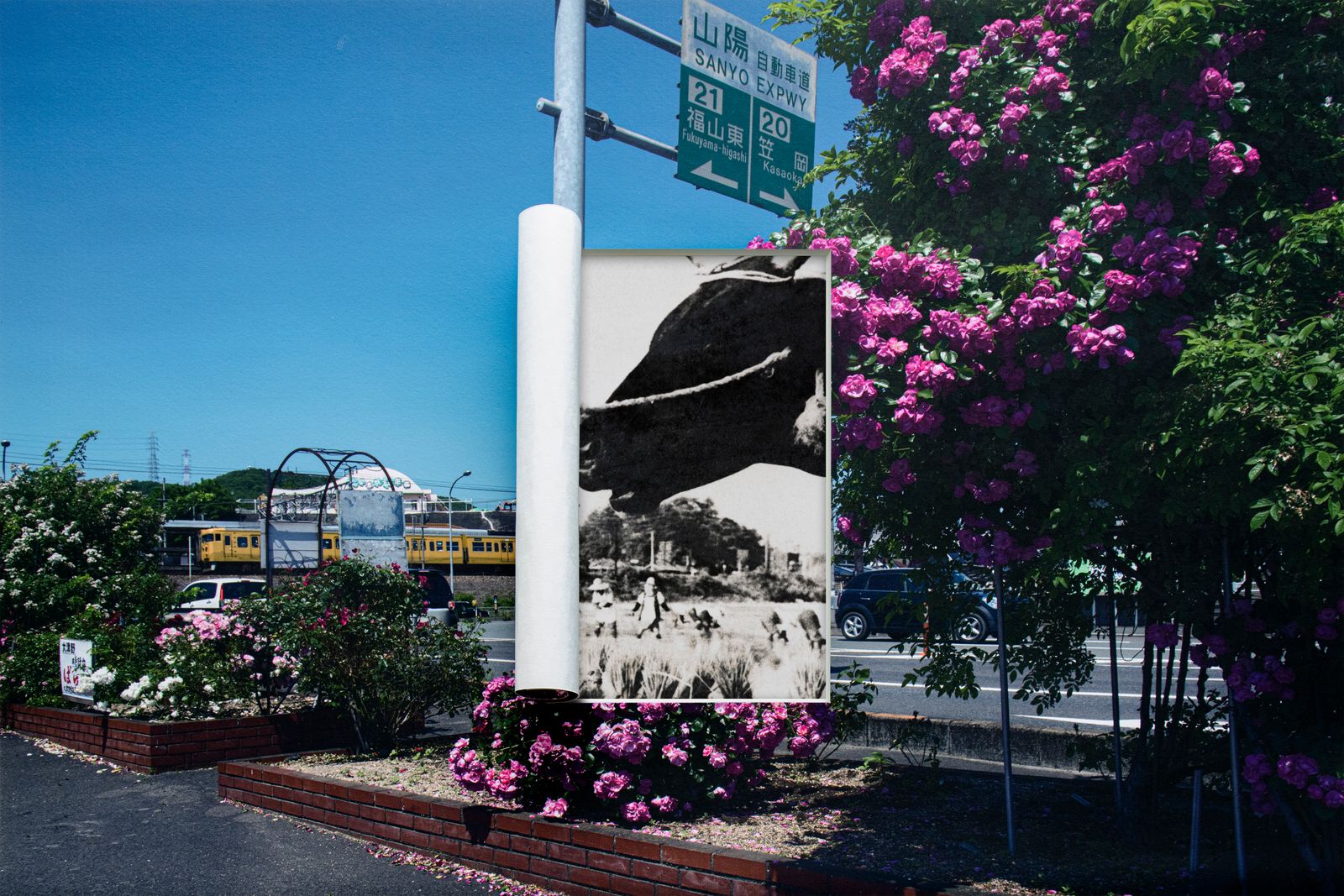 © Seido KINO - Image from the x elements / Growth photography project