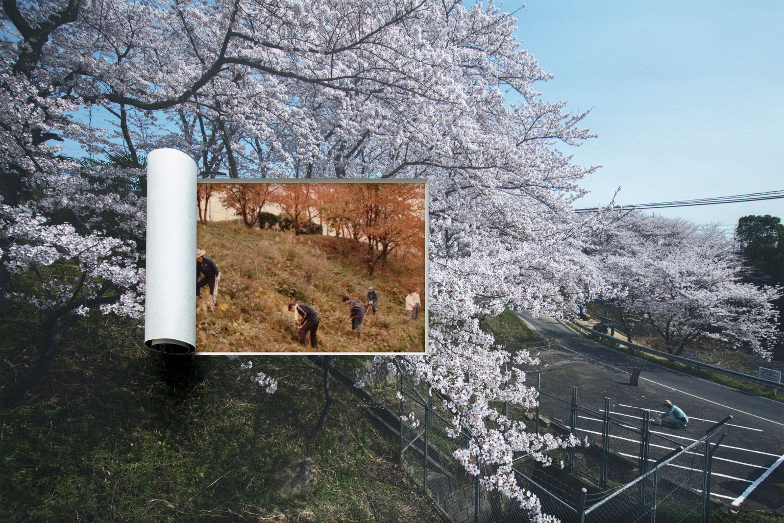 © Seido KINO - development in the Sanyo region