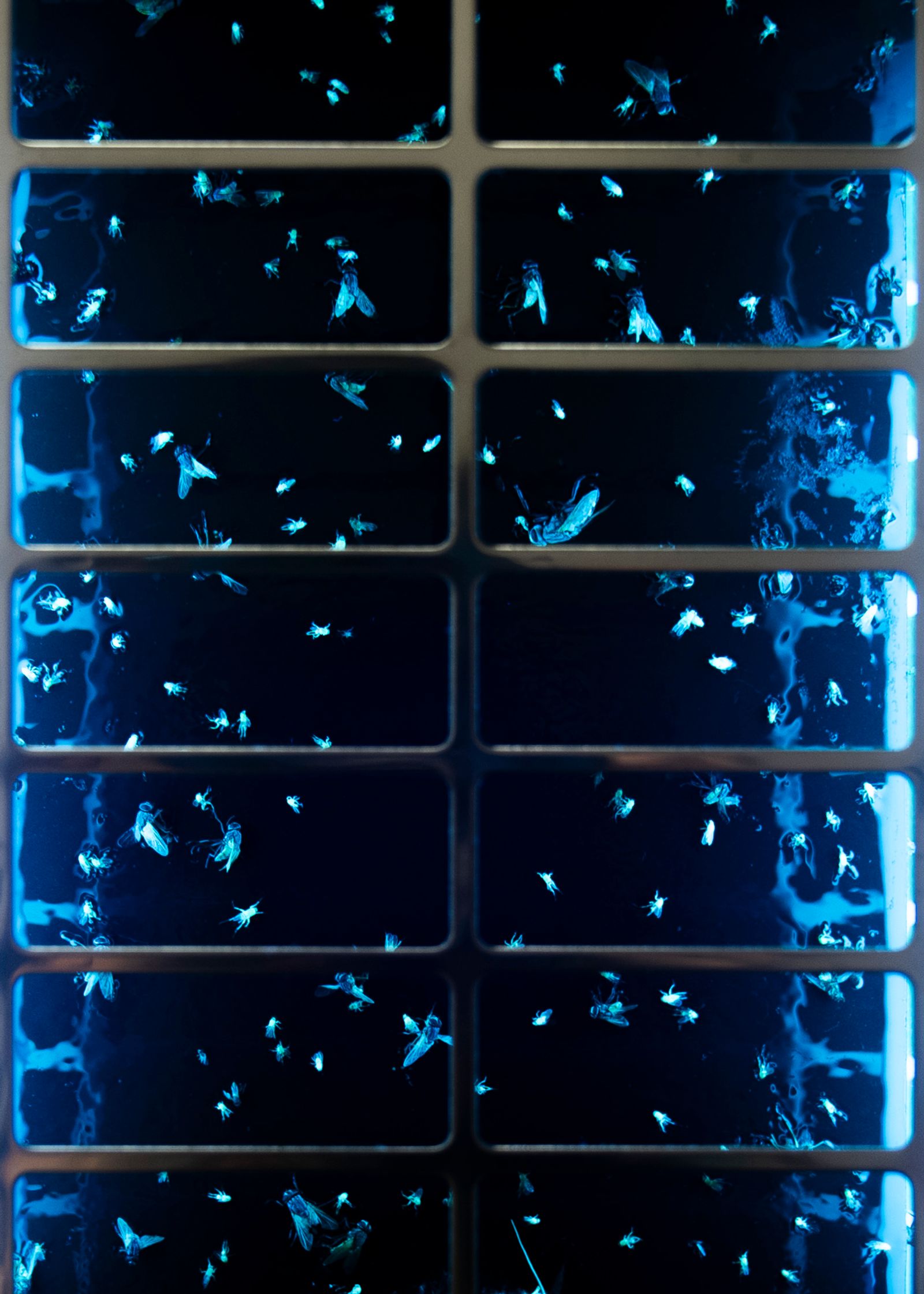© Elisa Marchesini - Image from the Back to the real life photography project