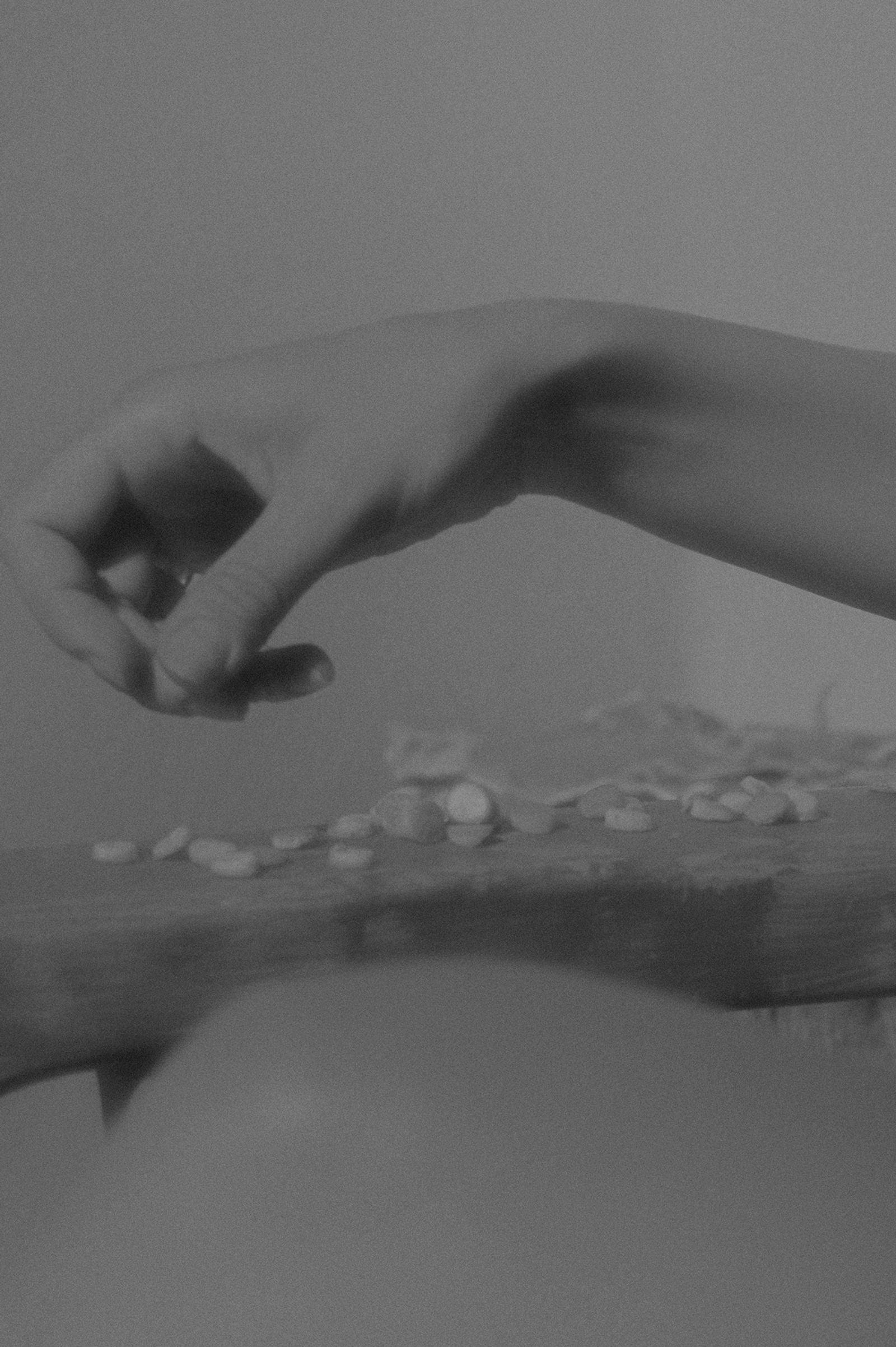 © Michal Patycki - Image from the SAGRADA photography project