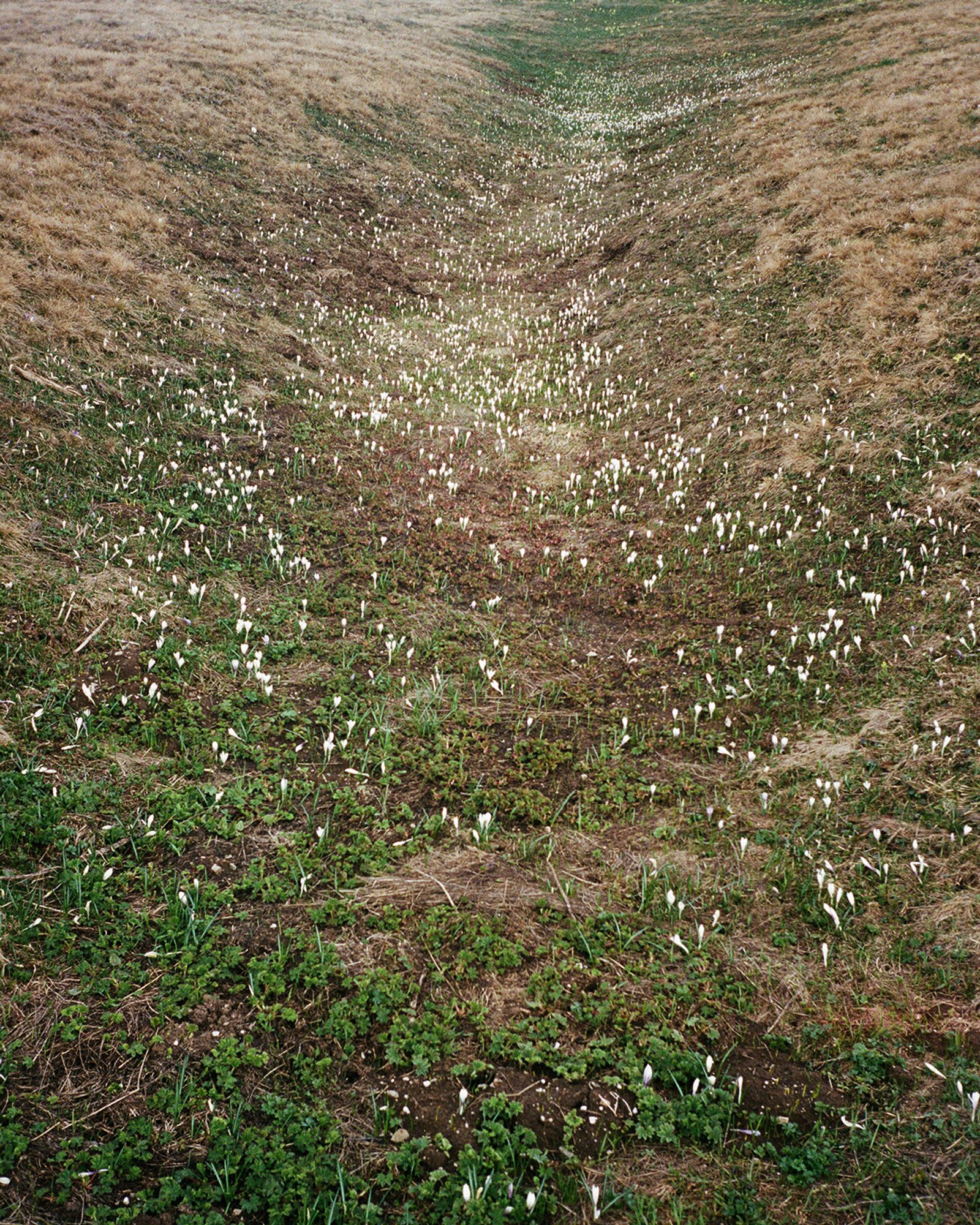 © Michal Patycki - Image from the me, i think i found it photography project