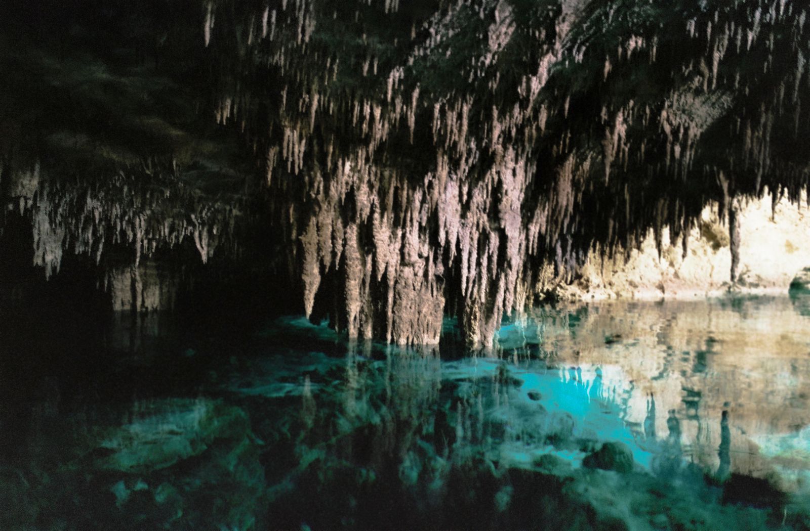© Takako Noel - Image from the Cenote angels photography project