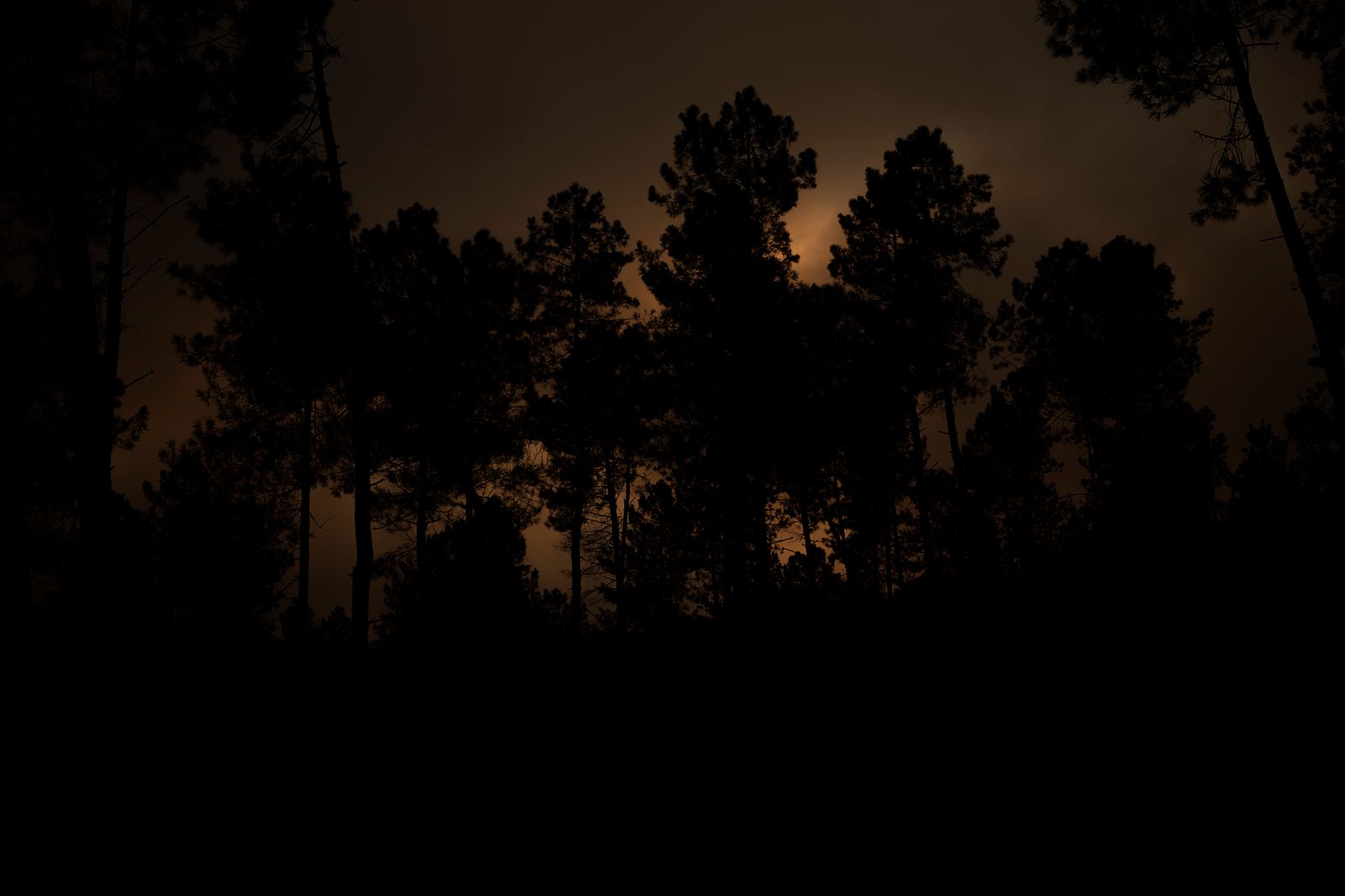© Oskar Alvarado - Image from the Where Fireflies Unfold photography project