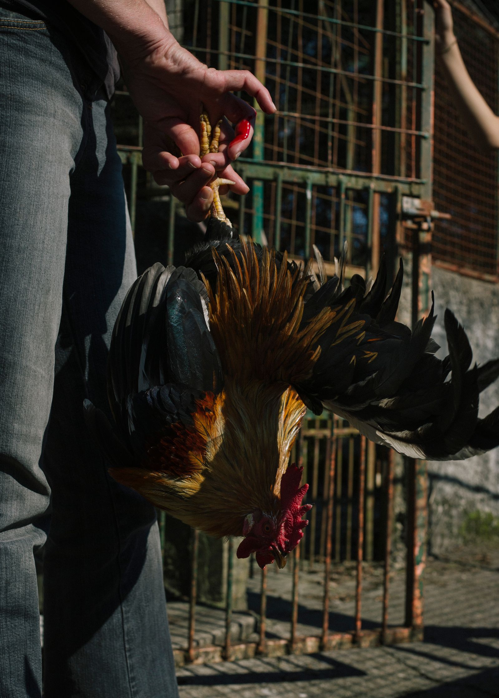 © Maite de Lorenzo - Image from the Land of a Thousand Dances photography project