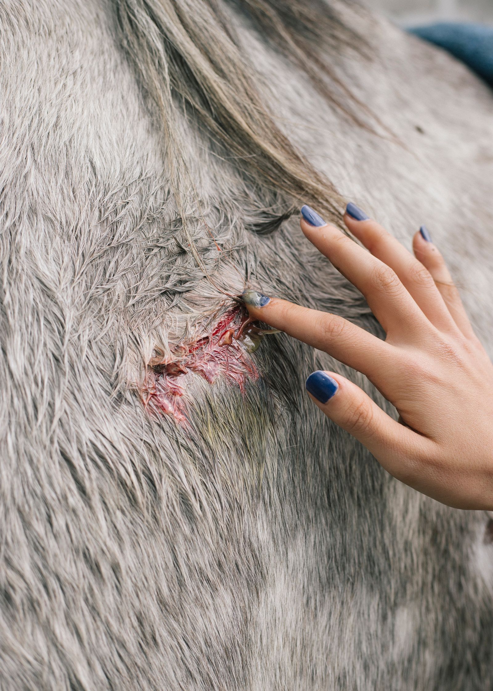 © Maite de Lorenzo - Image from the Land of a Thousand Dances photography project