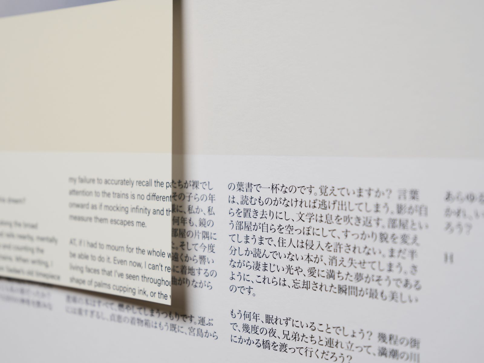 © Allie Tsubota - Dead Letter Room, detail view (2024).