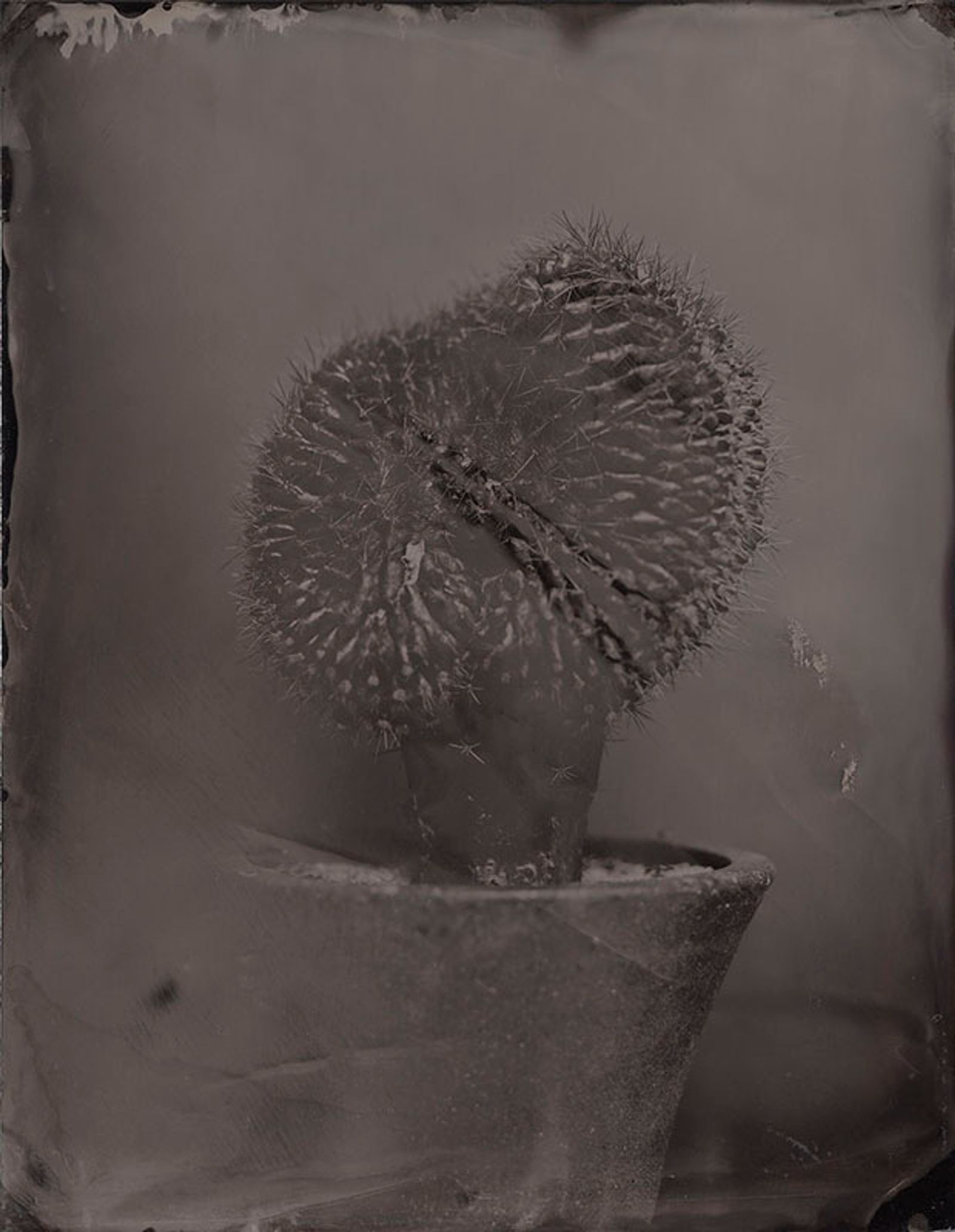 © Ohwada Ryo - Image from the qusamura-Honzo photography project