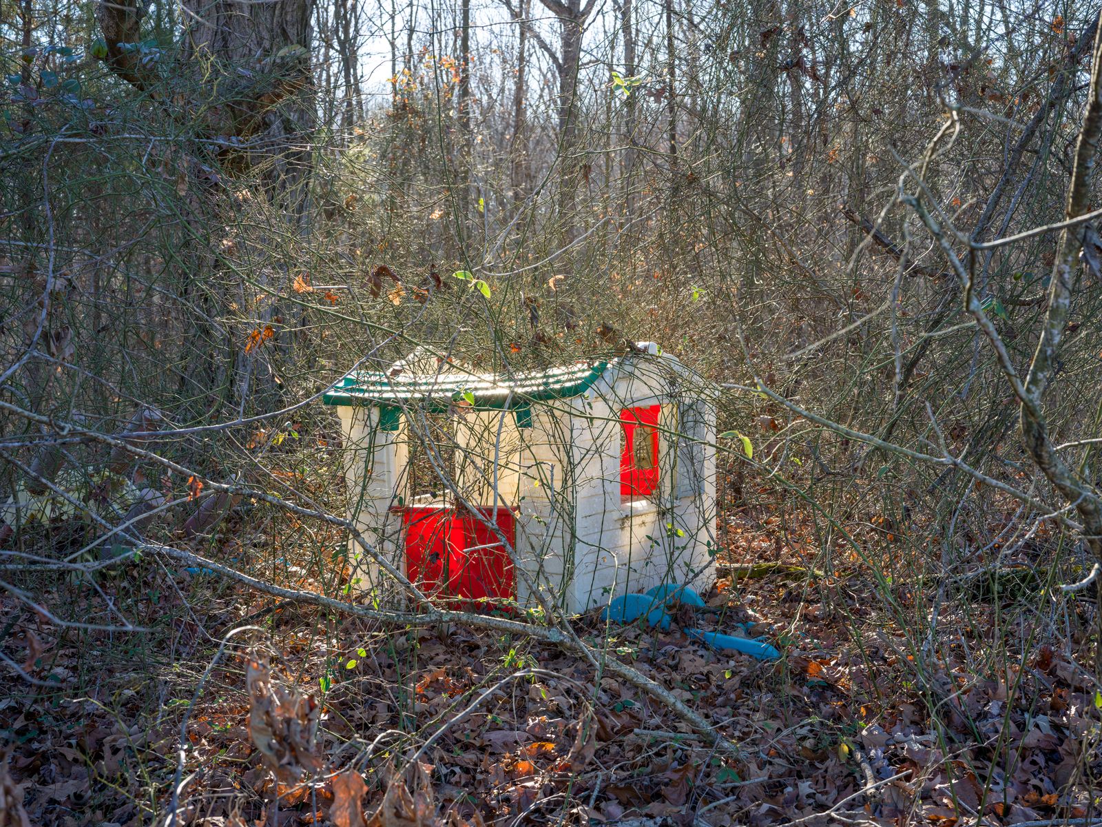 © Michael Young - Abandoned Playhouse in the Woods