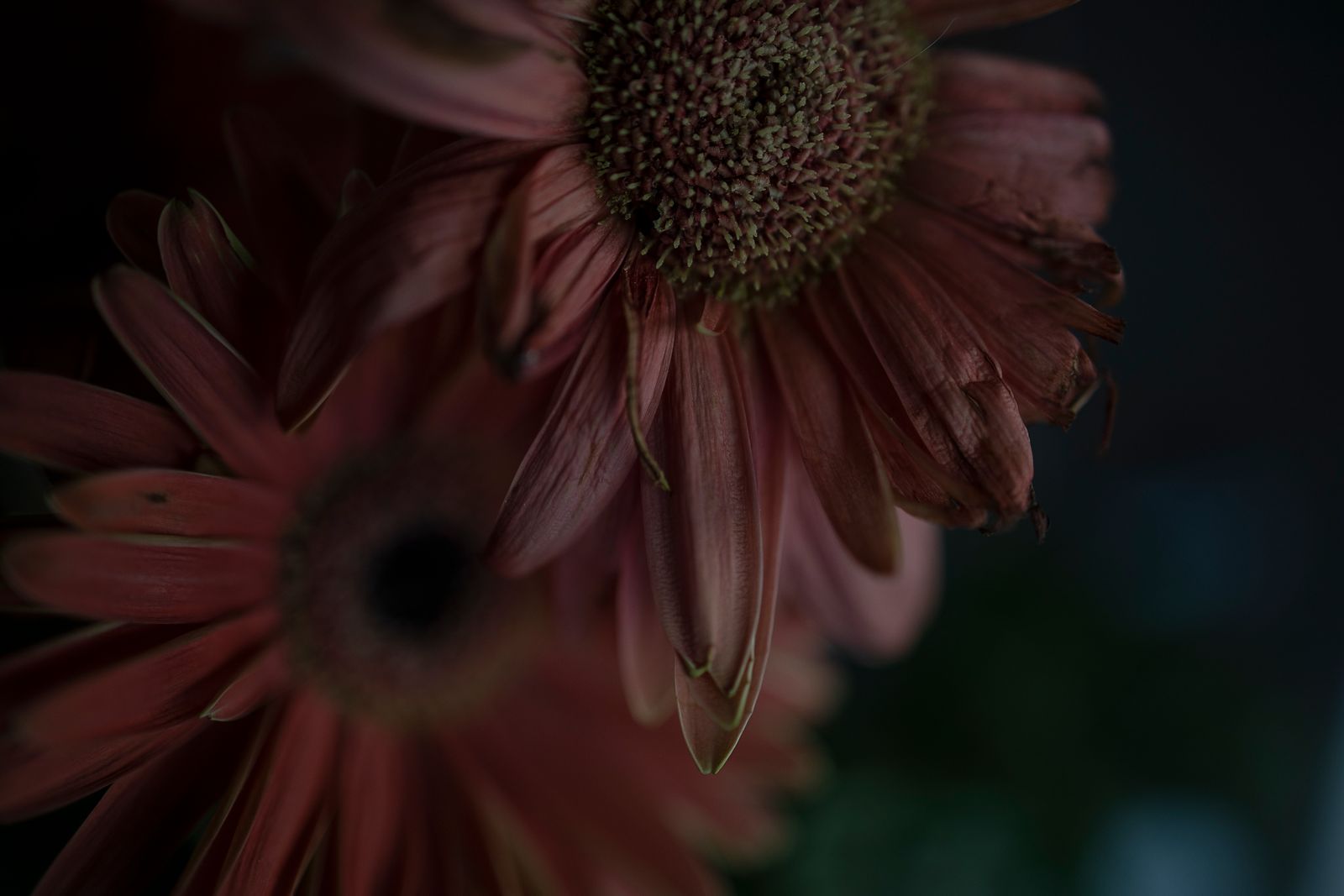 © Monica Ranieri - Image from the NYM photography project