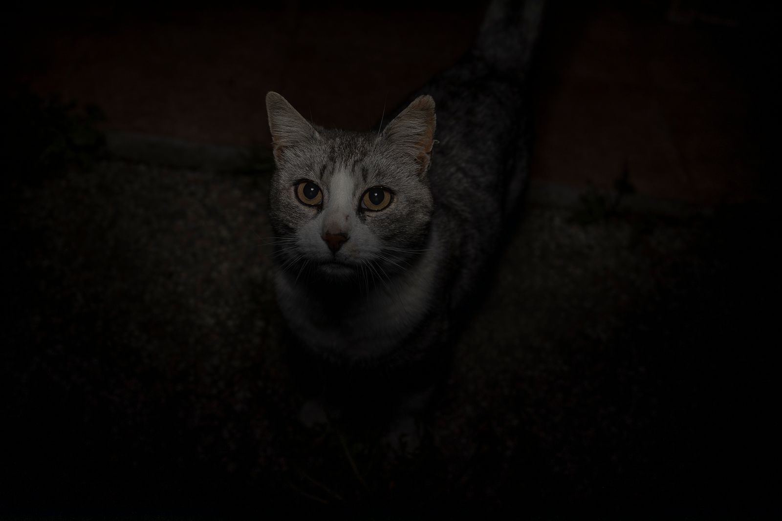 © Monica Ranieri - Image from the NYM photography project