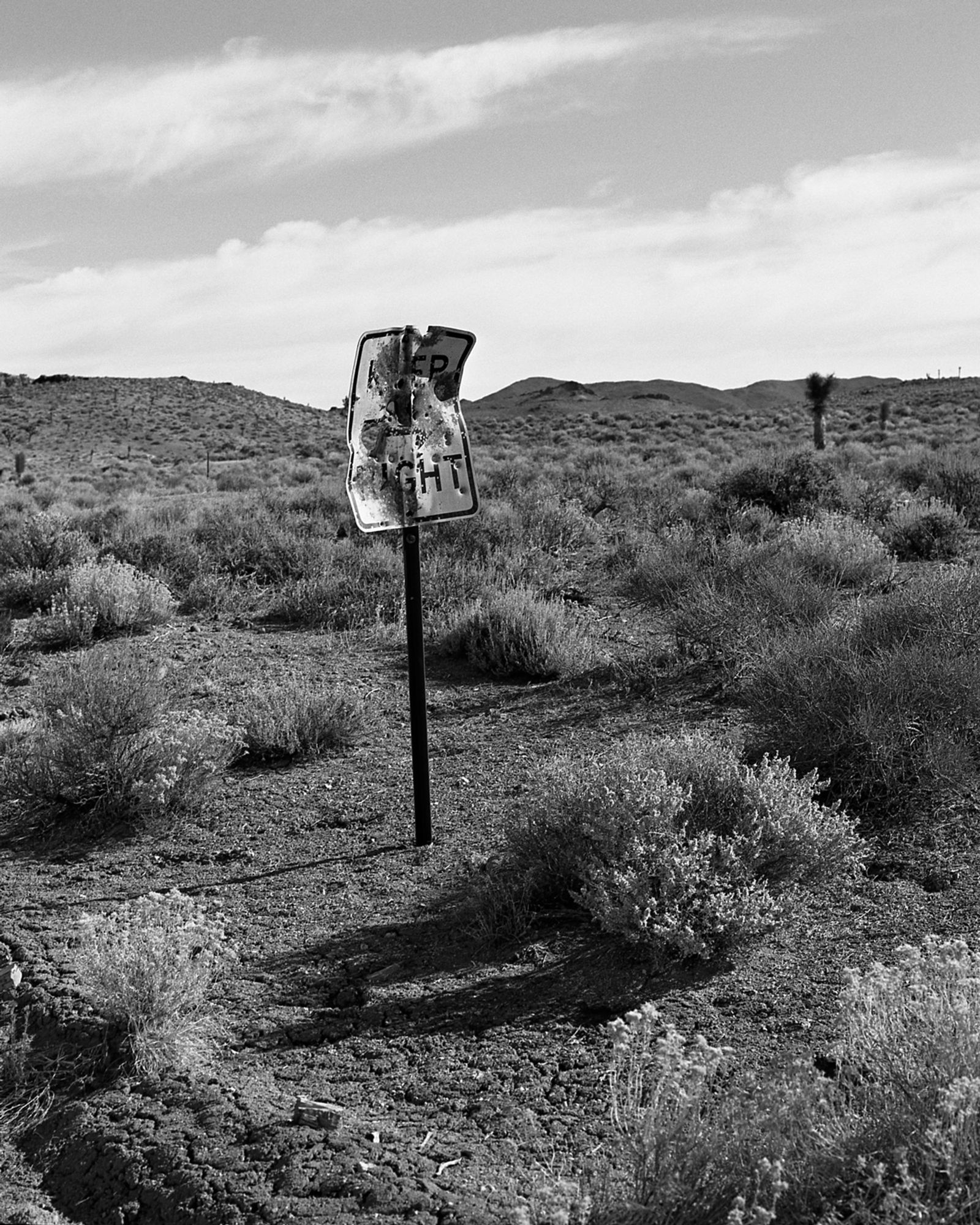 © William Mark Sommer - No Man's Land. The signs no longer read, the road turns to dirt and the land reclaims itself.