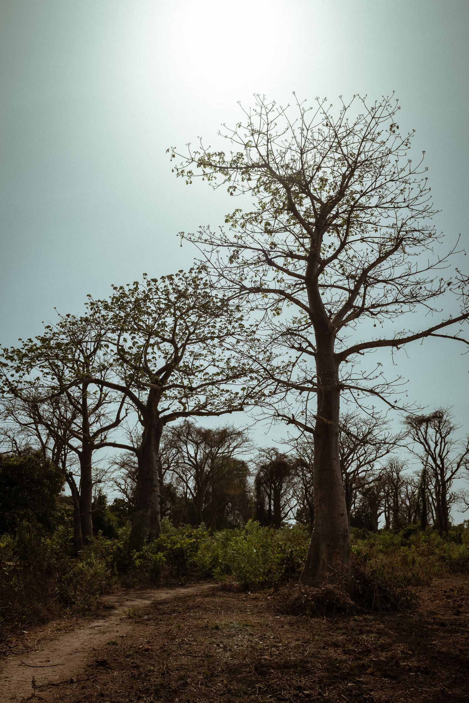 © Lorraine Turci - Image from the Avant demain (Before tomorrow) photography project