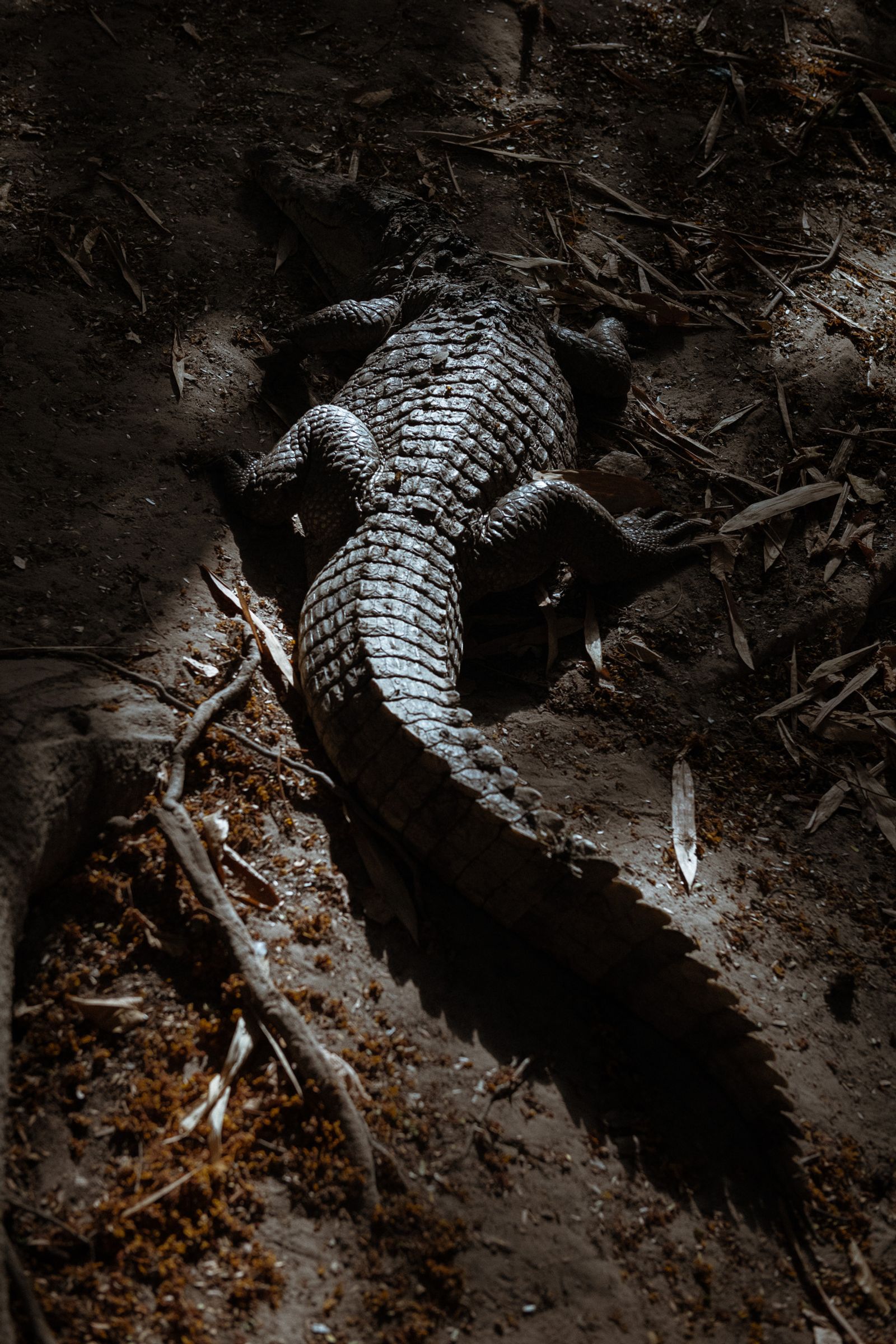 © Lorraine Turci - Image from the Avant demain (Before tomorrow) photography project