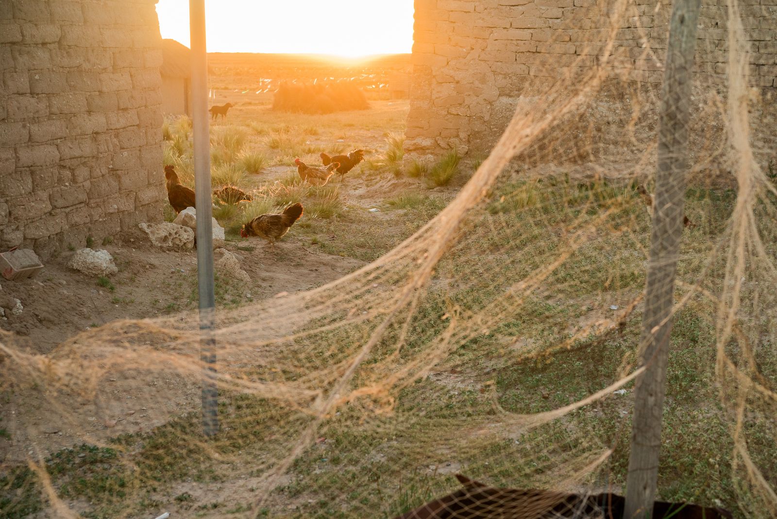 © Misha Vallejo - Image from the Poopo: memories of water photography project