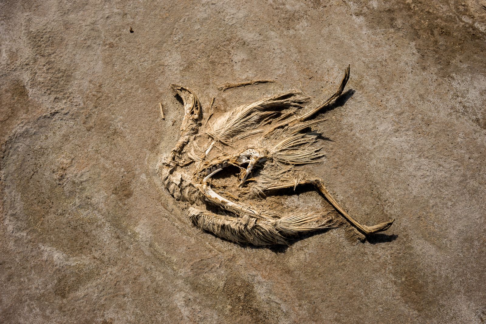 © Misha Vallejo - Image from the Poopo: memories of water photography project