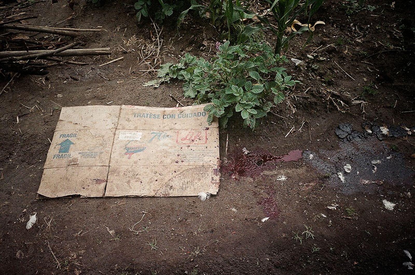 © Misha Vallejo - Image from the Yachacs photography project