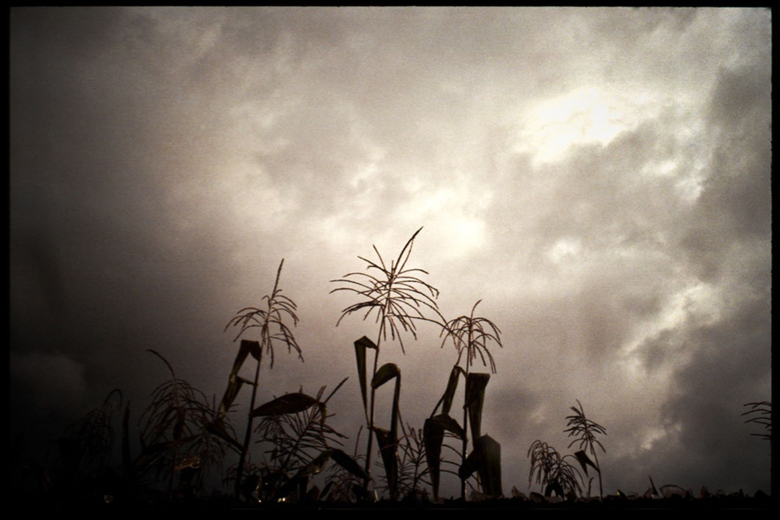 © Misha Vallejo - Image from the Yachacs photography project