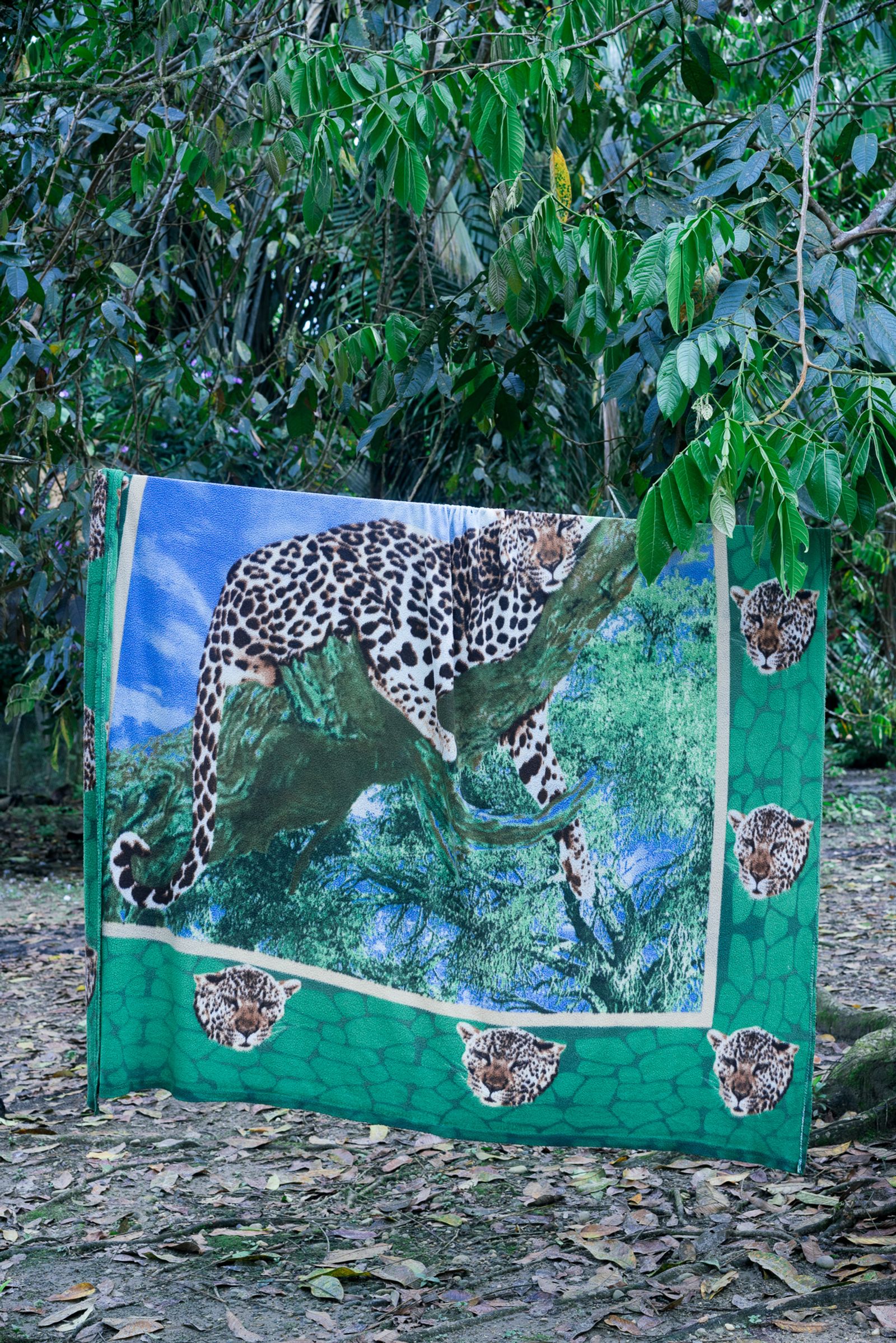 © Misha Vallejo - Image from the Secret Sarayaku photography project