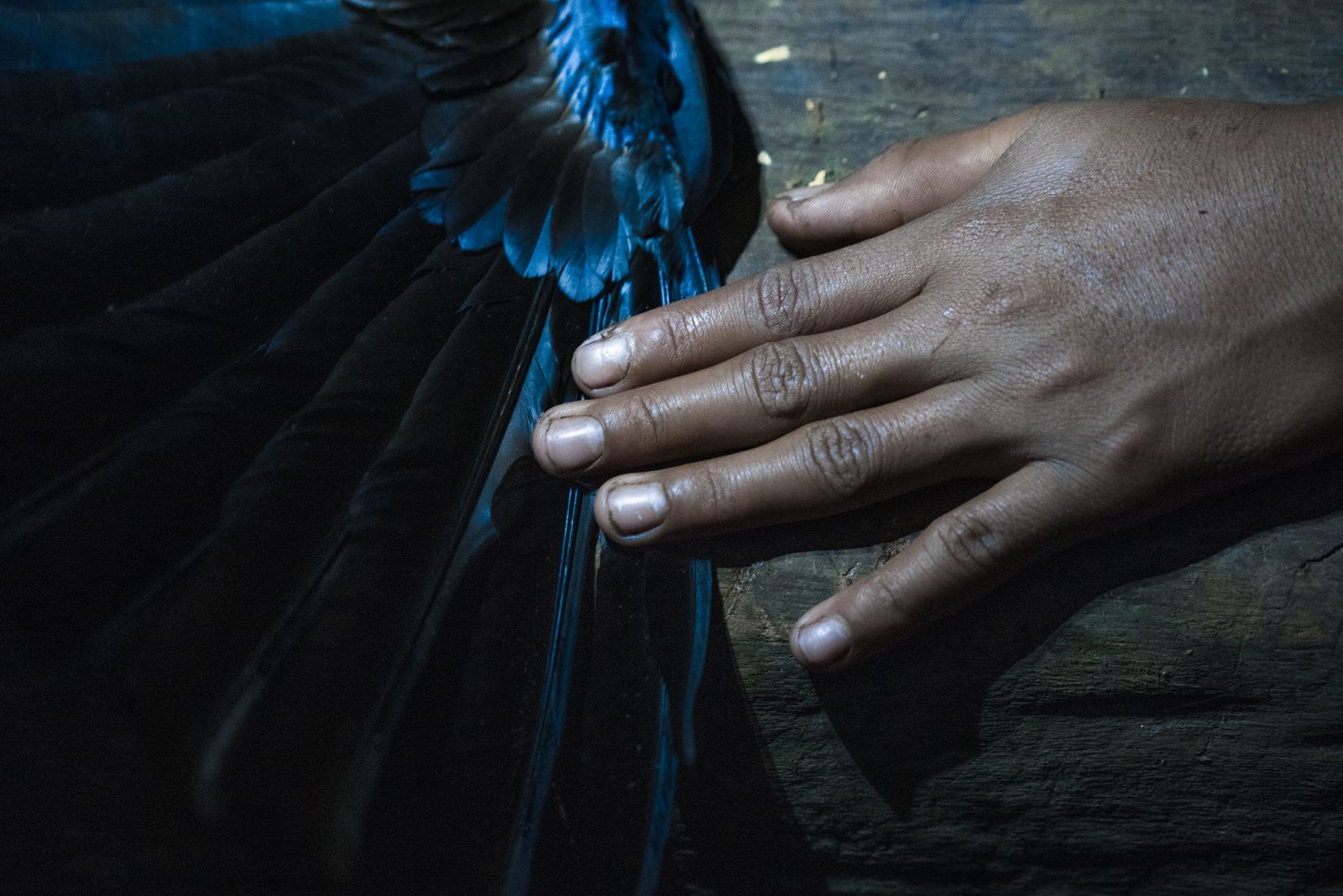 © Misha Vallejo - Image from the Secret Sarayaku photography project