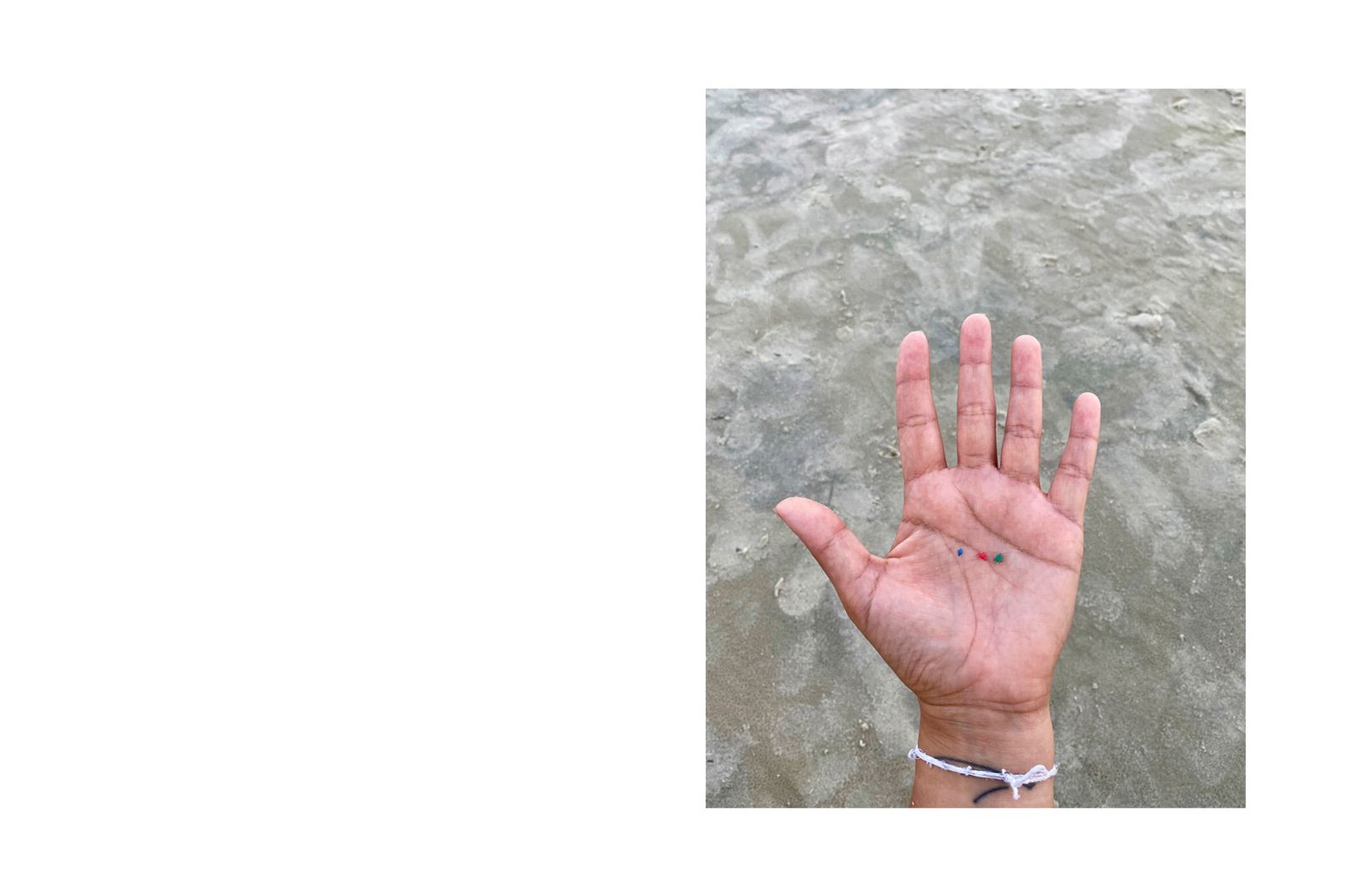 © Camila Hermes - Image from the The Sea Inventory photography project