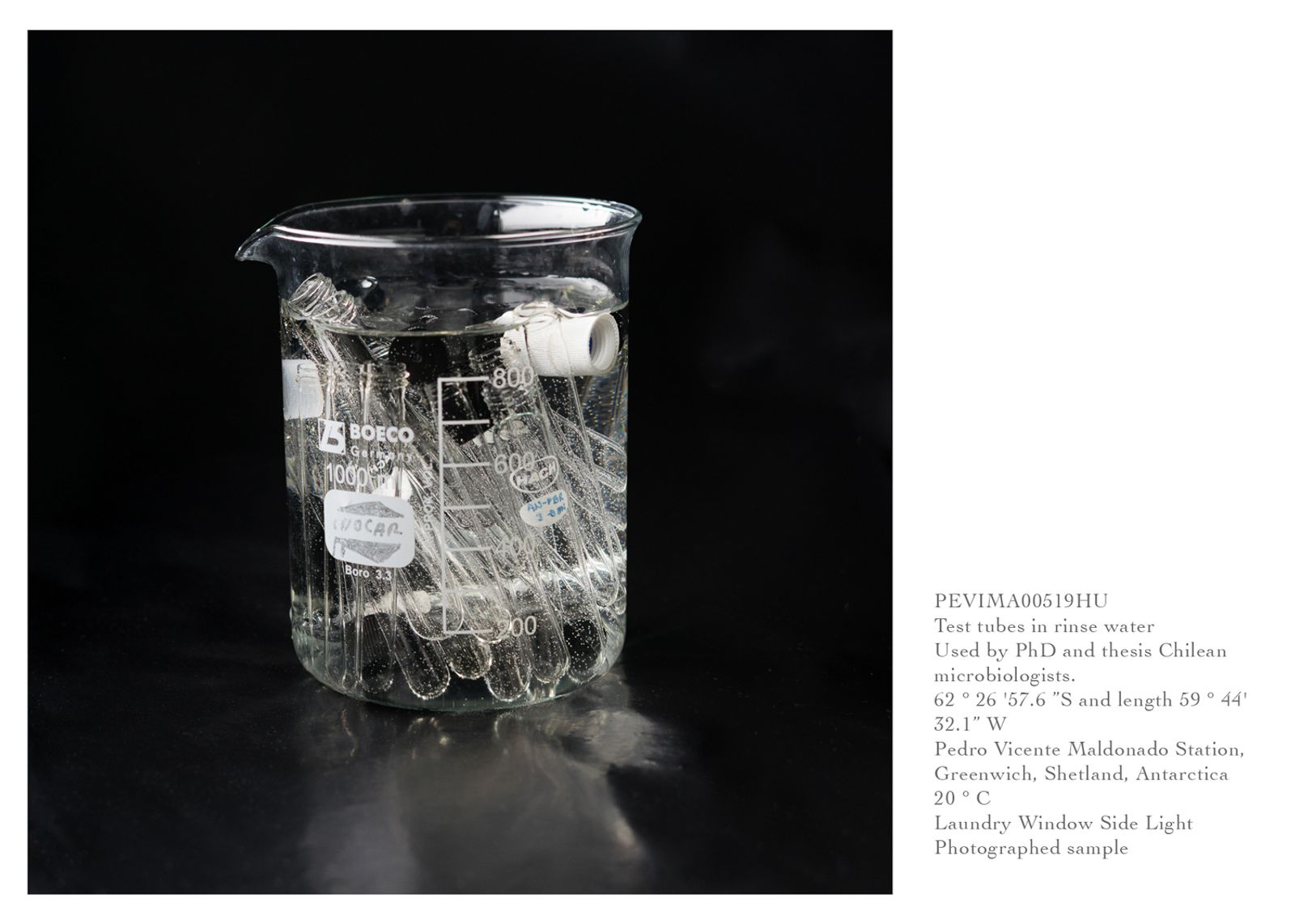 © Isadora Romero - Image from the Extremophiles photography project