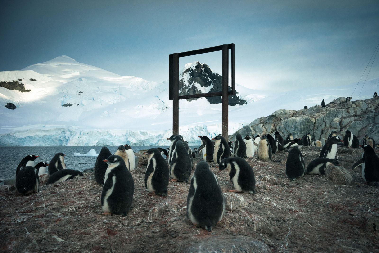 © Isadora Romero - Image from the Extremophiles photography project