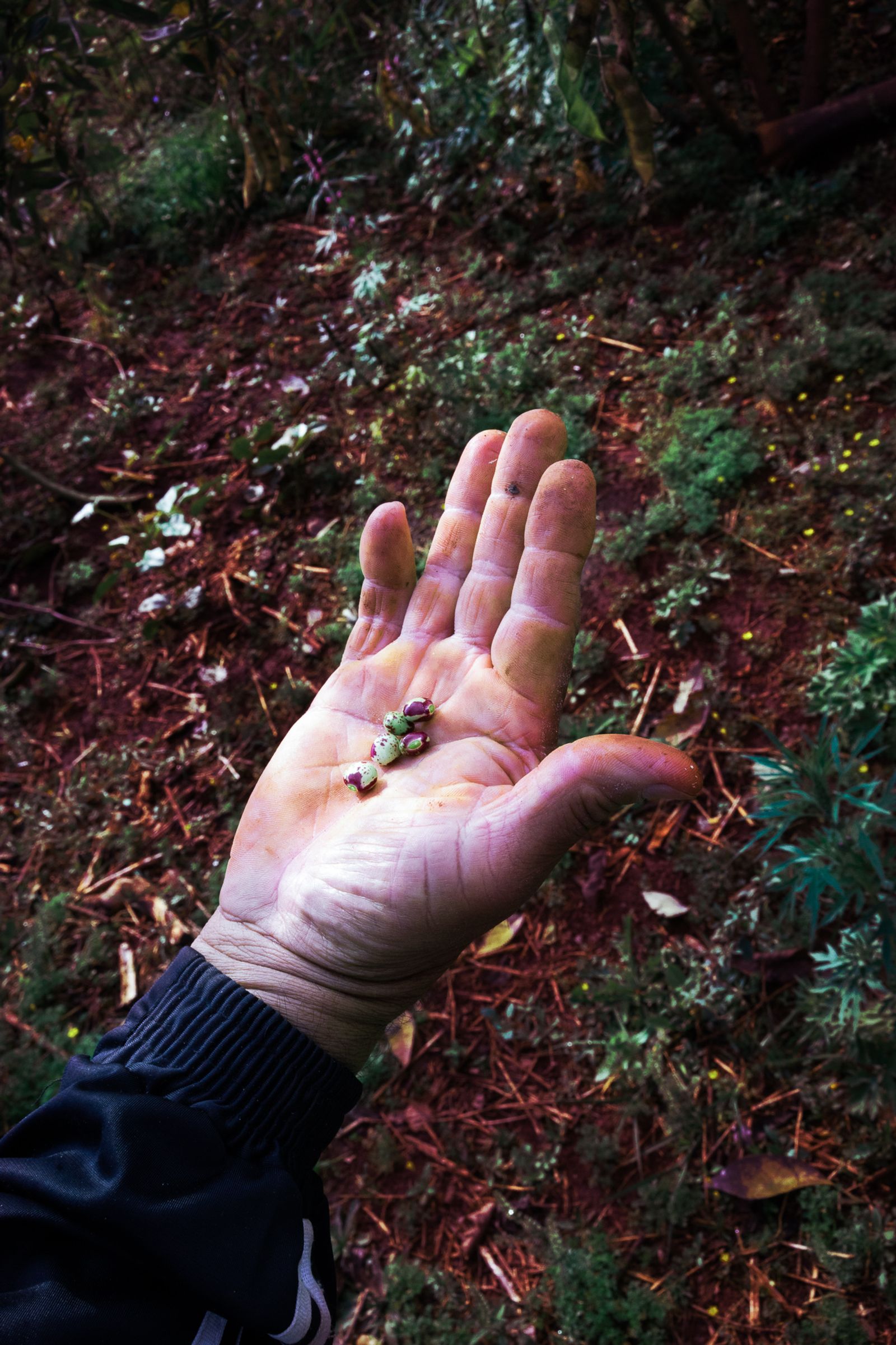 © Isadora Romero - Image from the RA'yi photography project