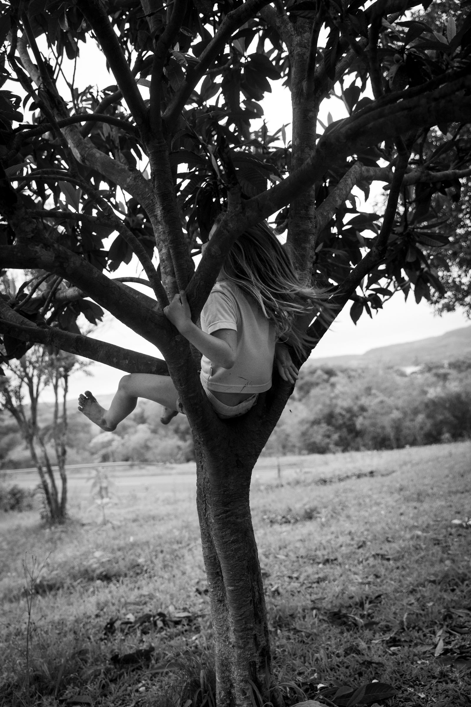 © Mercedes Cotoli - Luana picking fruit.