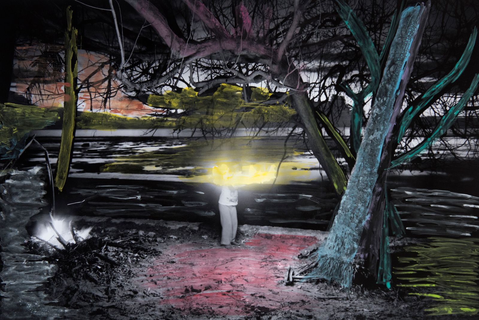 © Sanne De Wilde - Image from the THE ISLAND OF THE COLORBLIND photography project