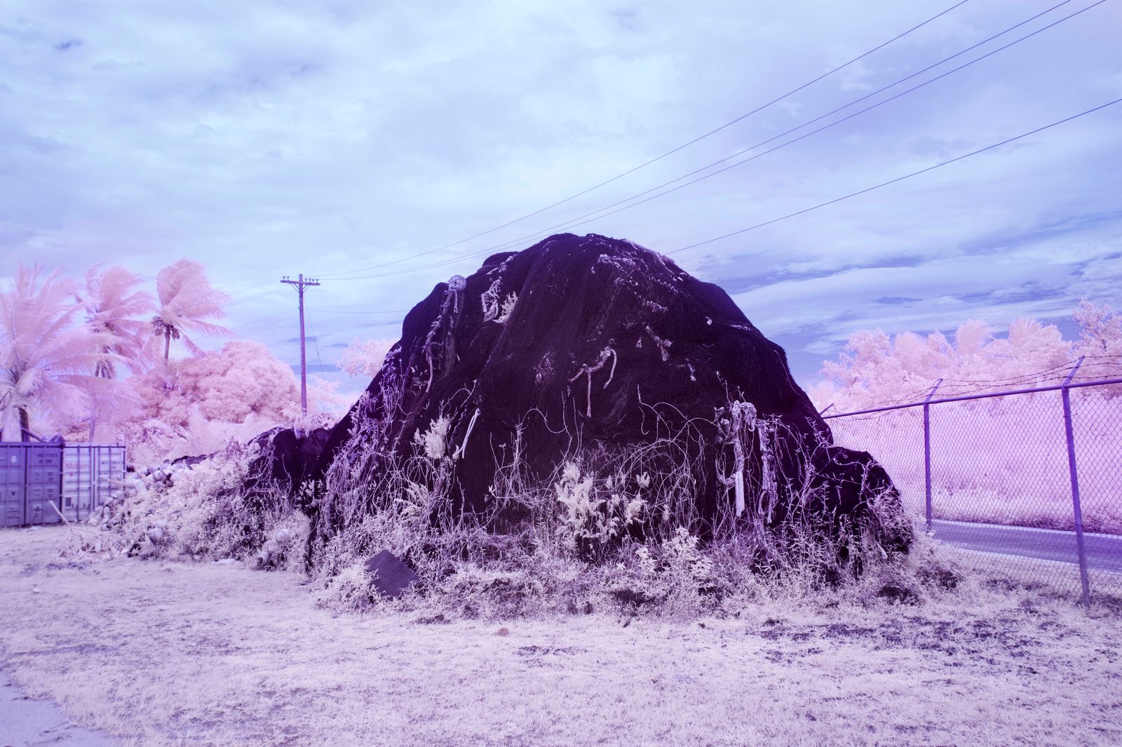 © Sanne De Wilde - Image from the THE ISLAND OF THE COLORBLIND photography project