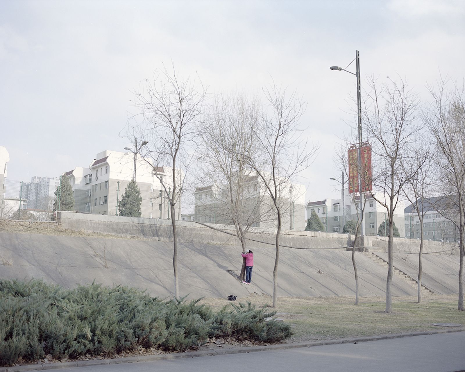 © Lu Wang - Frozen are the winds of time #29 People doing sports in a park