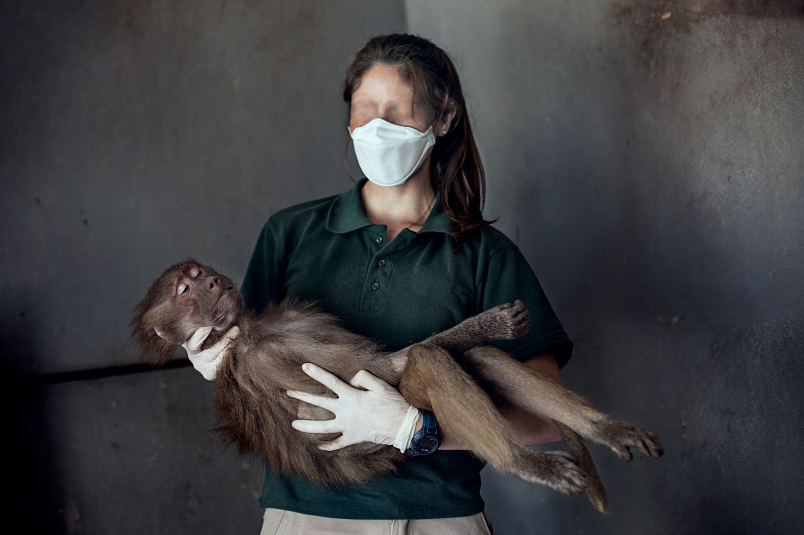 © Sofia Lopez Mañan - A human holding a sleeping baboon.