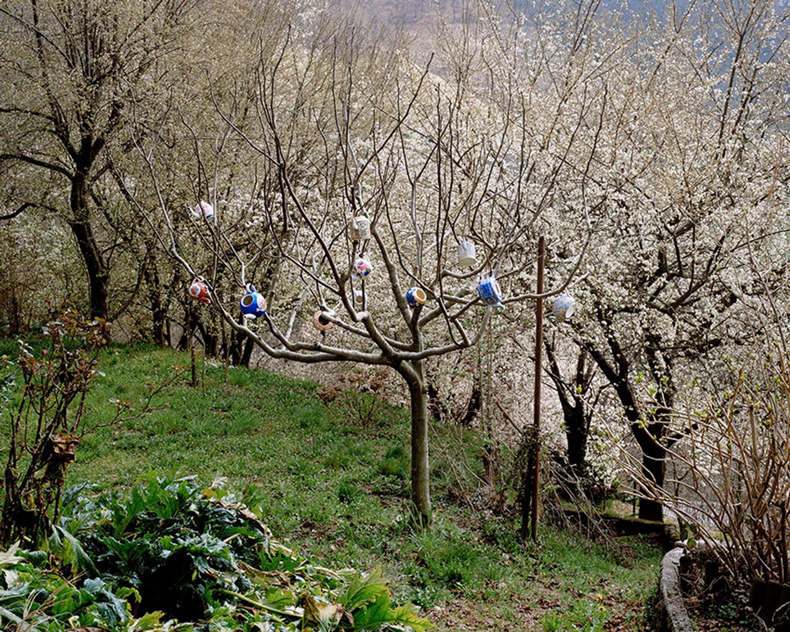 © Arunà Canevascini - Image from the villa argentina photography project