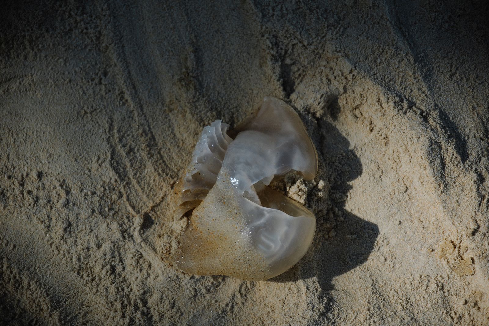 © Jahel Guerra Roa - Image from the La Matria que me parió (the motherland that bore me) photography project