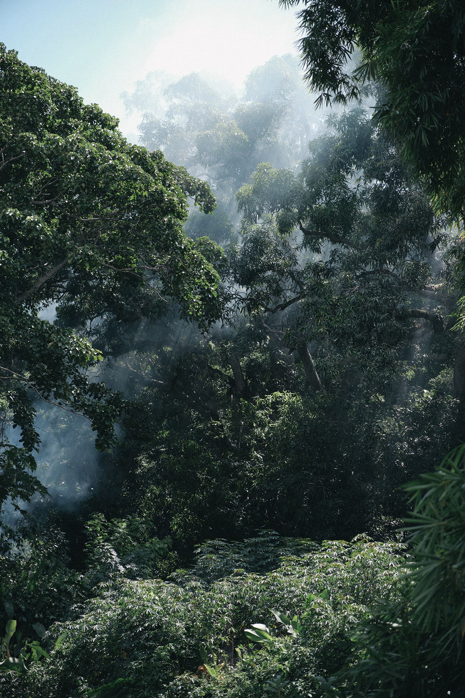 © Jahel Guerra Roa - Image from the La Matria que me parió (the motherland that bore me) photography project