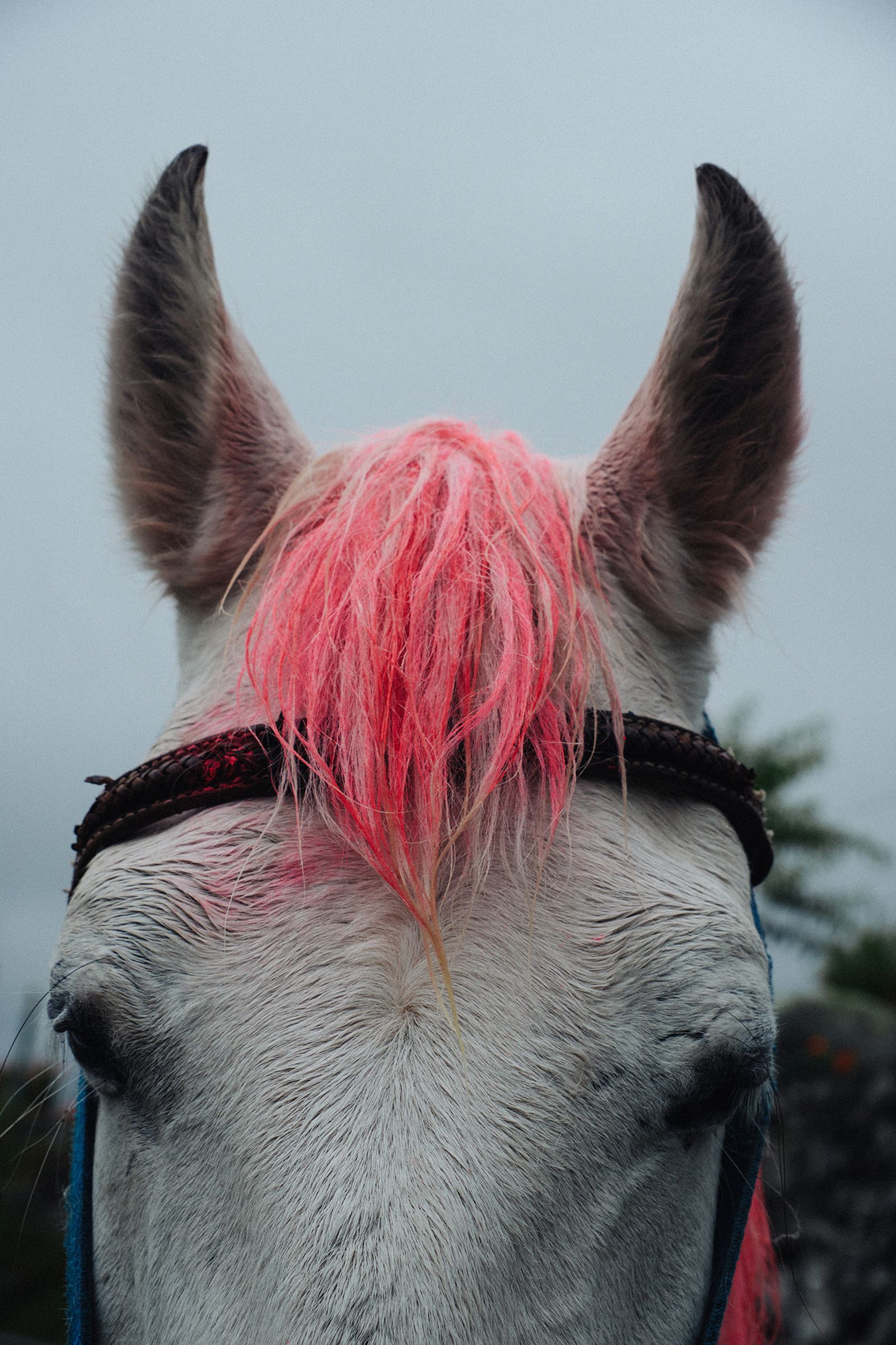 © Jahel Guerra Roa - Image from the La Matria que me parió (the motherland that bore me) photography project