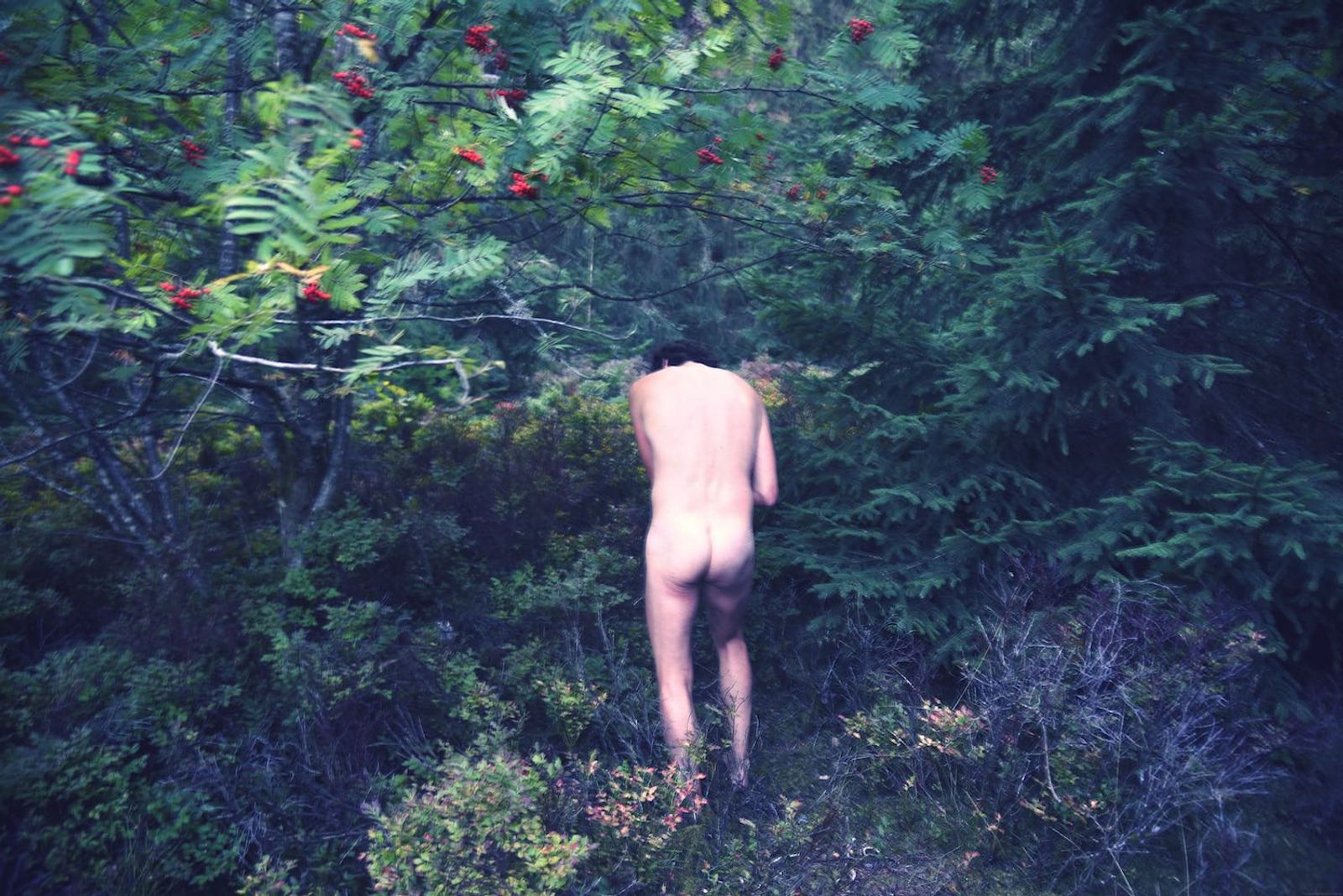 © Ayline Olukman - Image from the our wild lives photography project