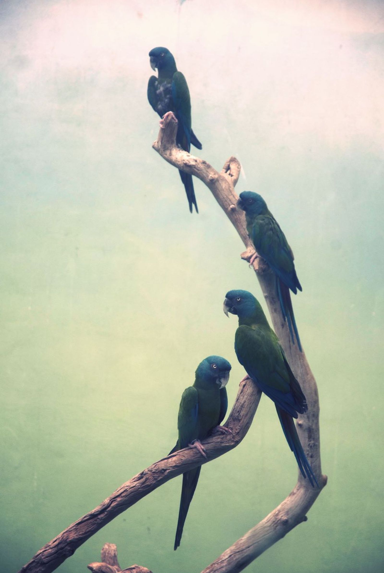 © Ayline Olukman - Image from the our wild lives photography project