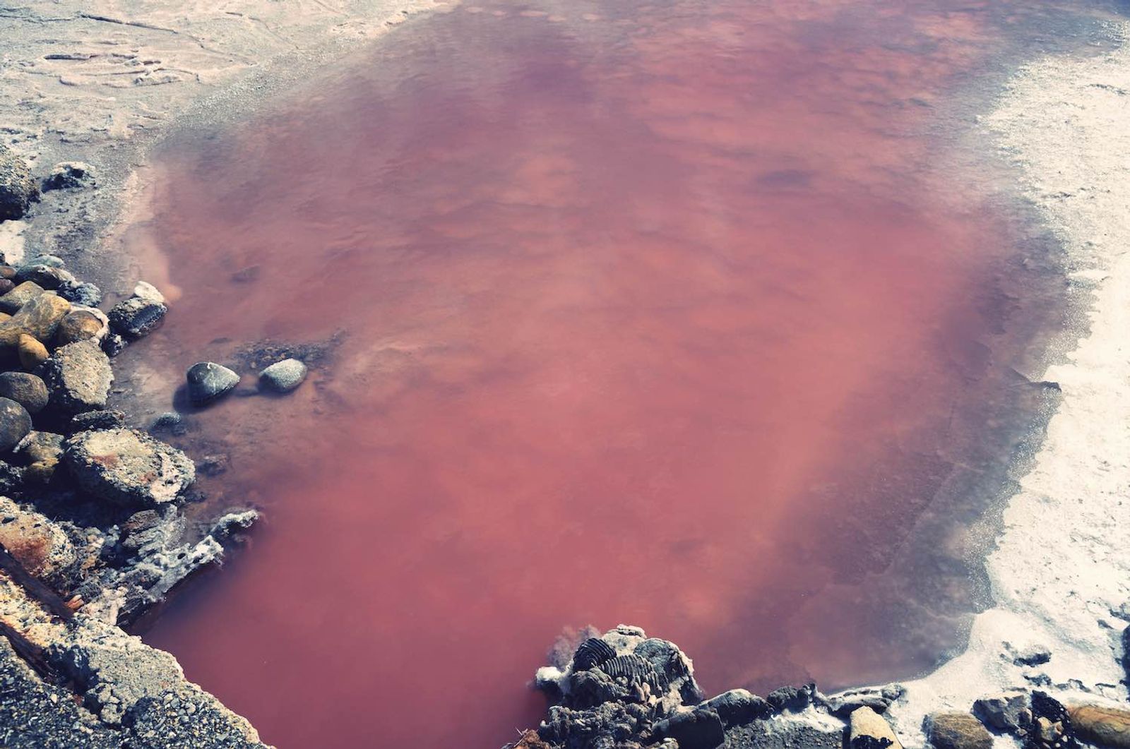 © Ayline Olukman - Image from the our wild lives photography project